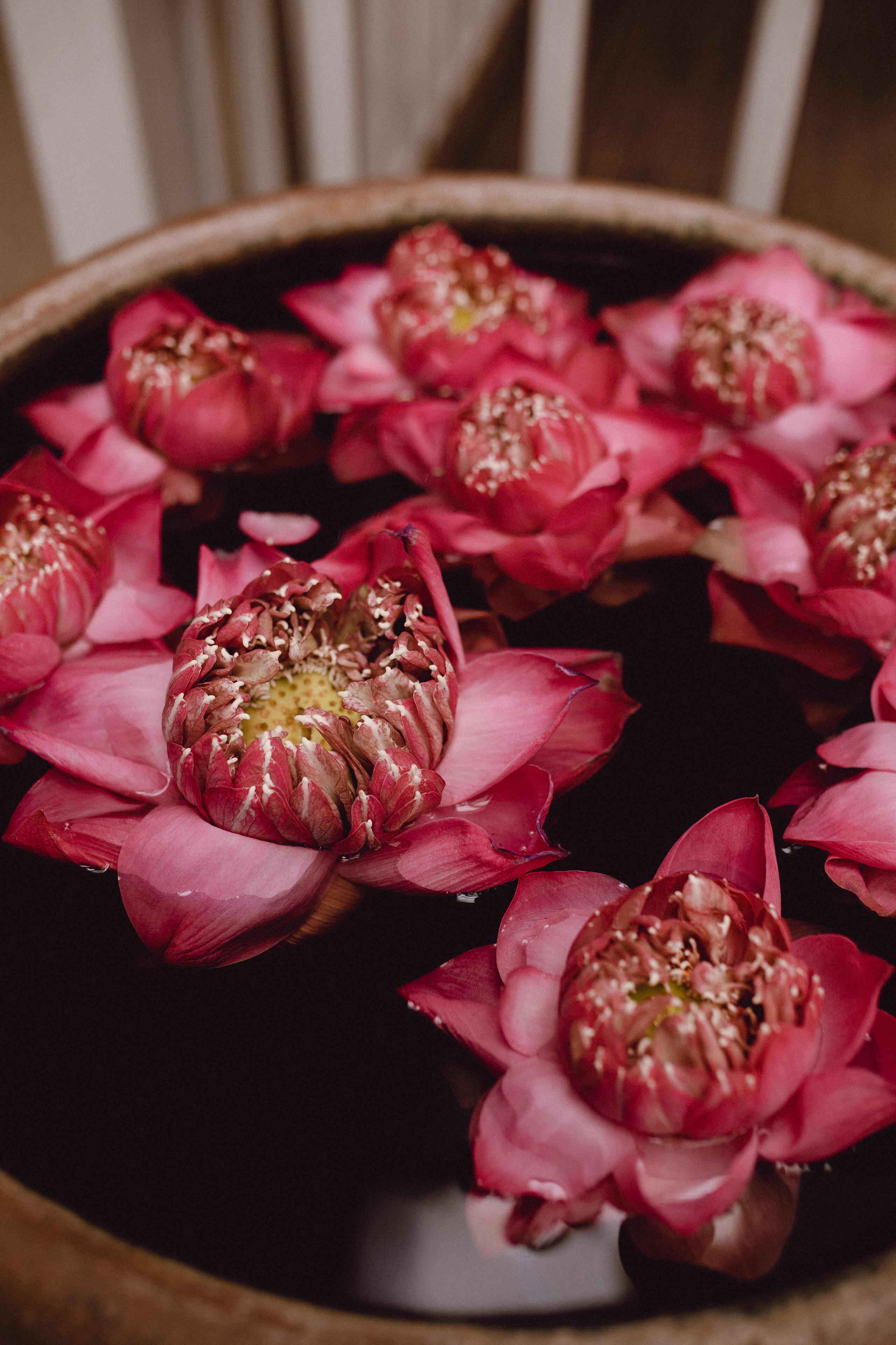 Phuket. Thailand. Wedding Event ART Photographer