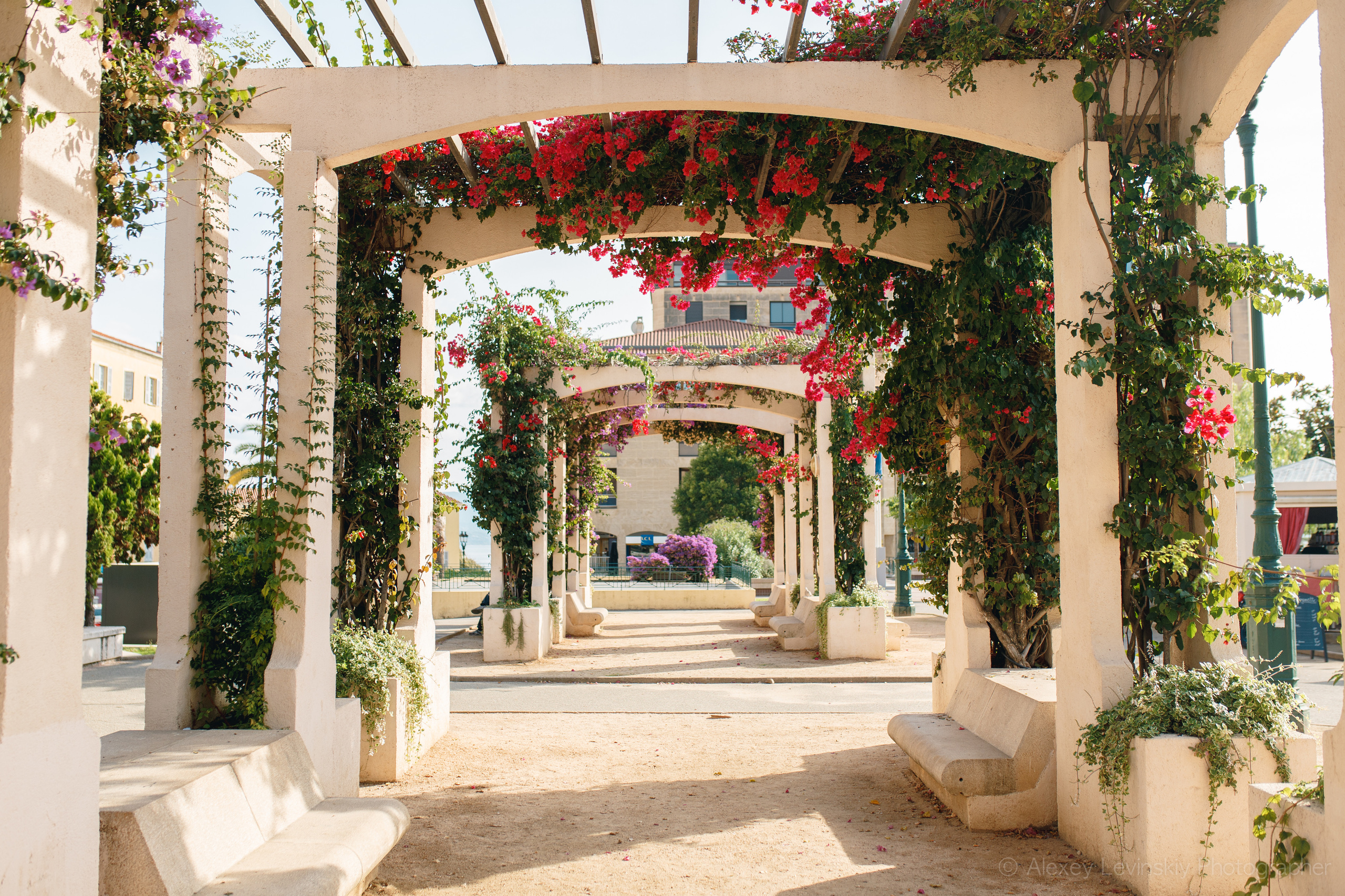 France. (Paris. Strasbourg. Corsica). Wedding Event ART Photographer