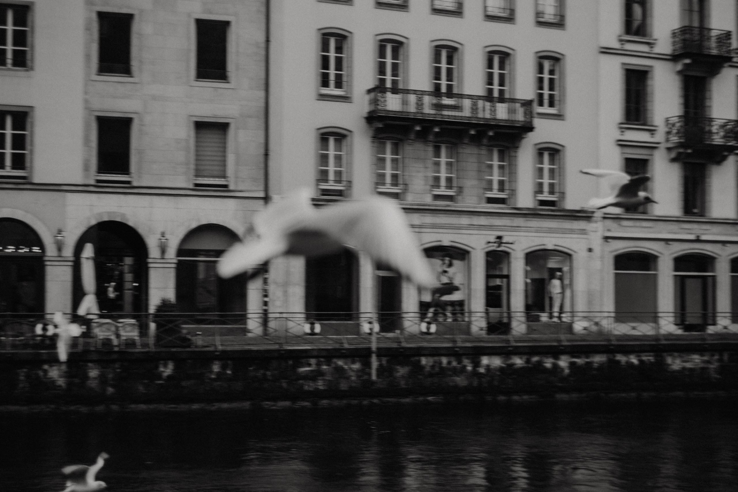 Switzerland (Zurih. Geneva. Basel. Luzern. Bern). Wedding Event ART Photographer