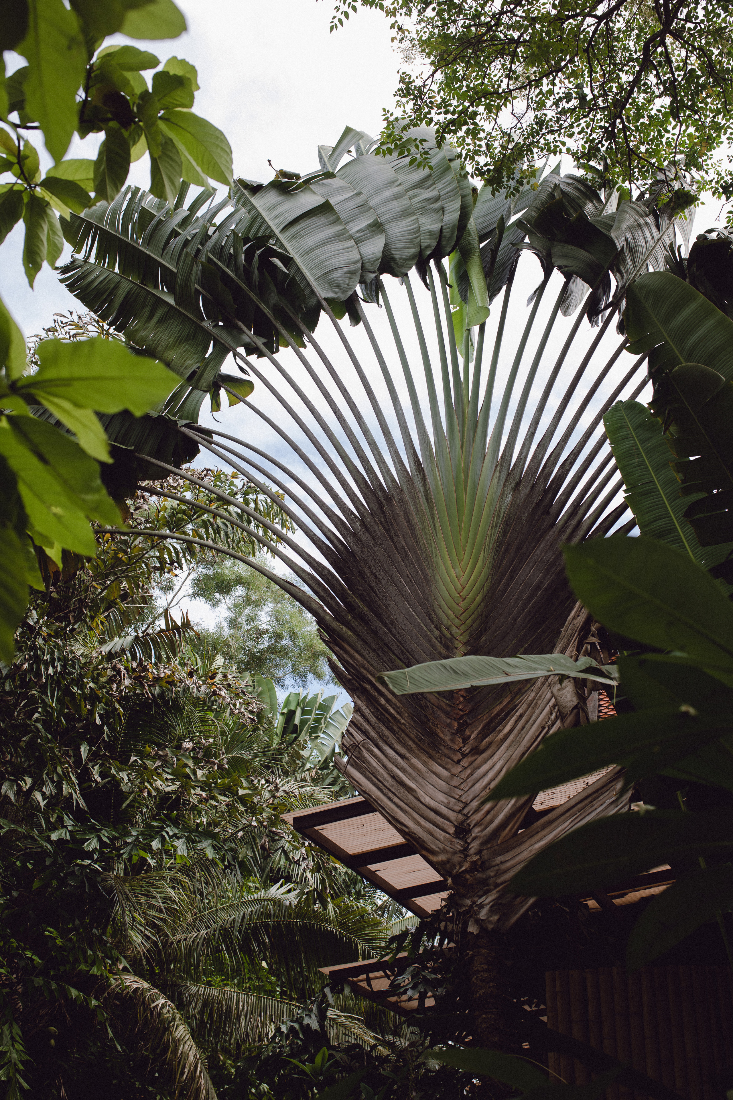 Phuket. Thailand. Wedding Event ART Photographer