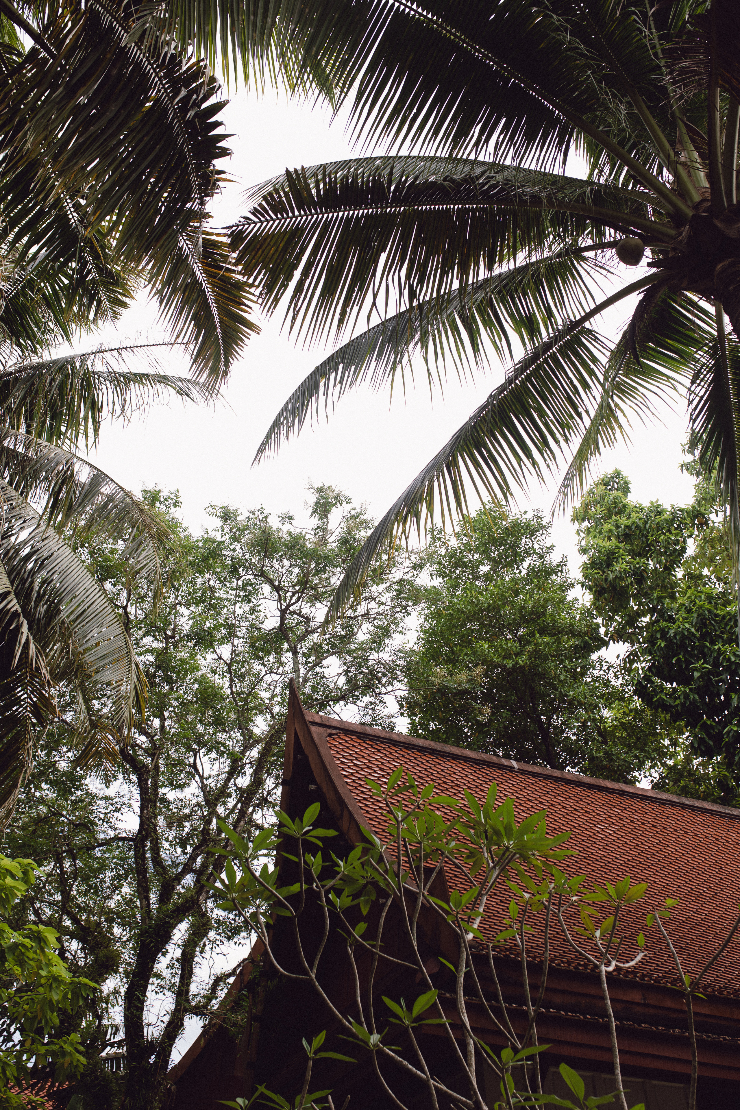 Phuket. Thailand. Wedding Event ART Photographer