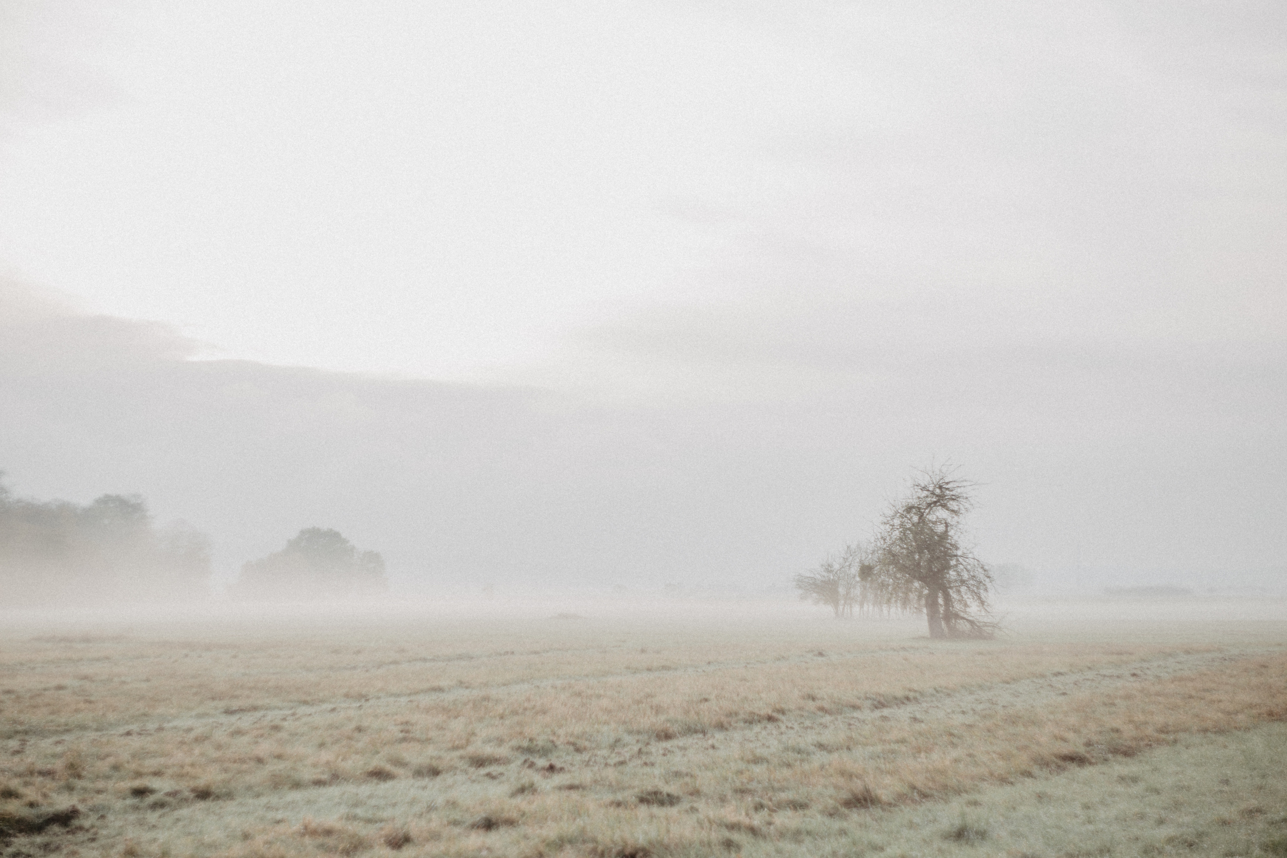 Deutschland. Wedding Event ART Photographer