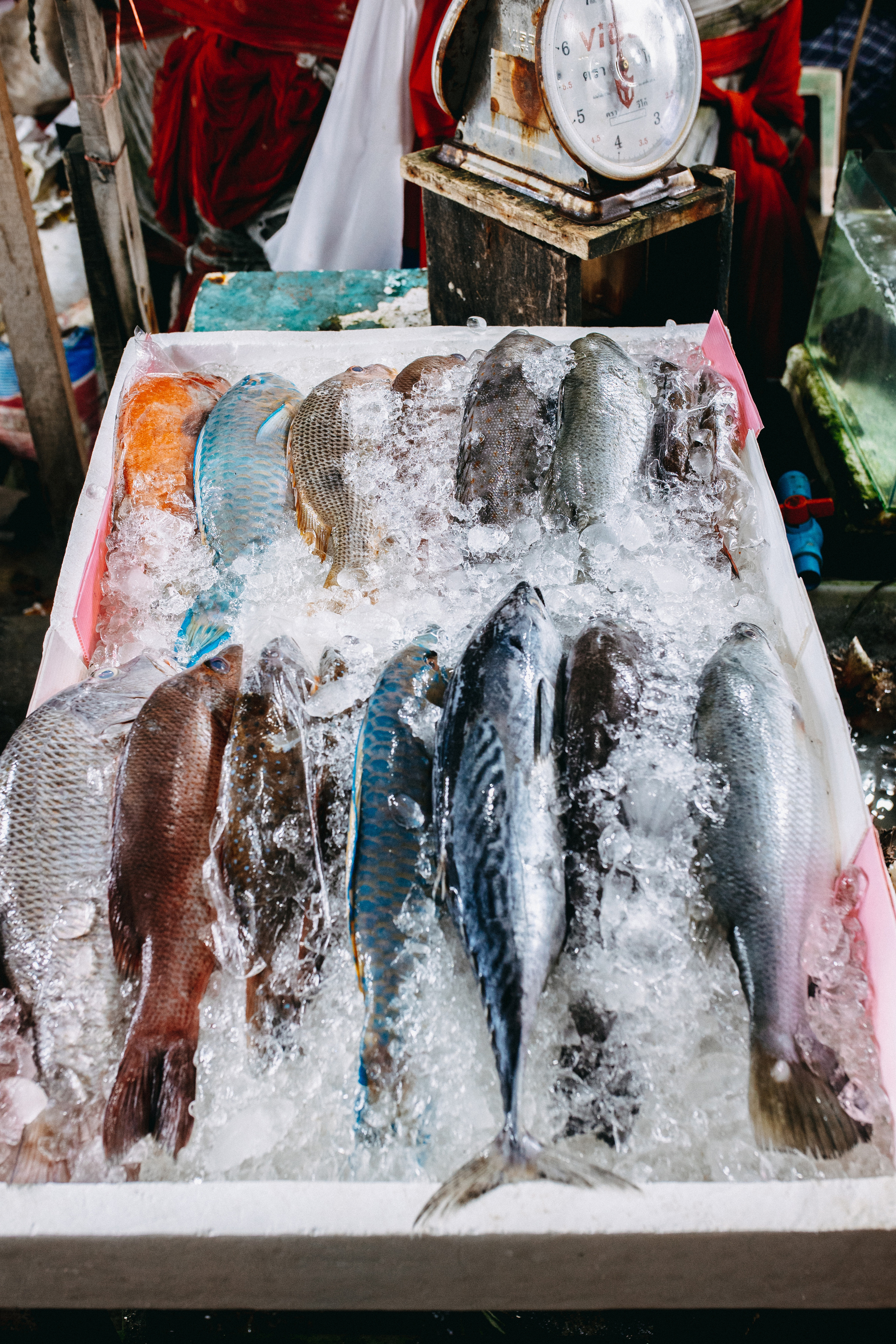 Phuket. Thailand. Wedding Event ART Photographer