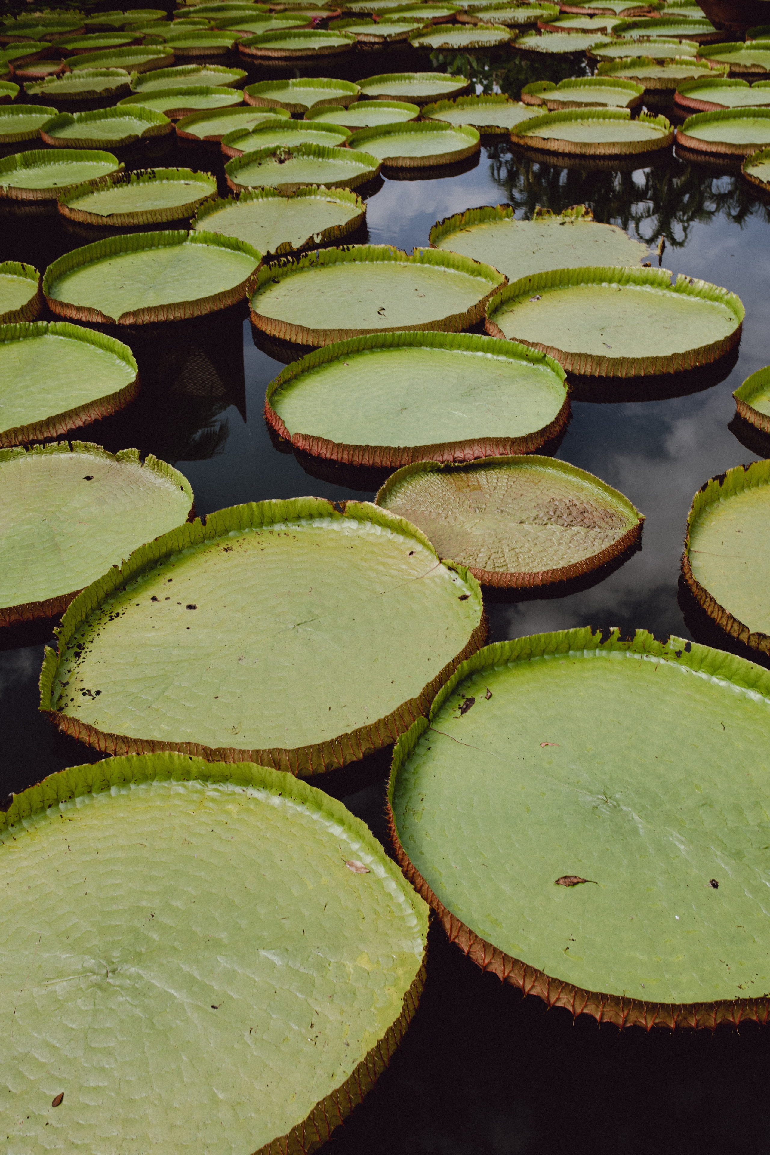 Phuket. Thailand. Wedding Event ART Photographer