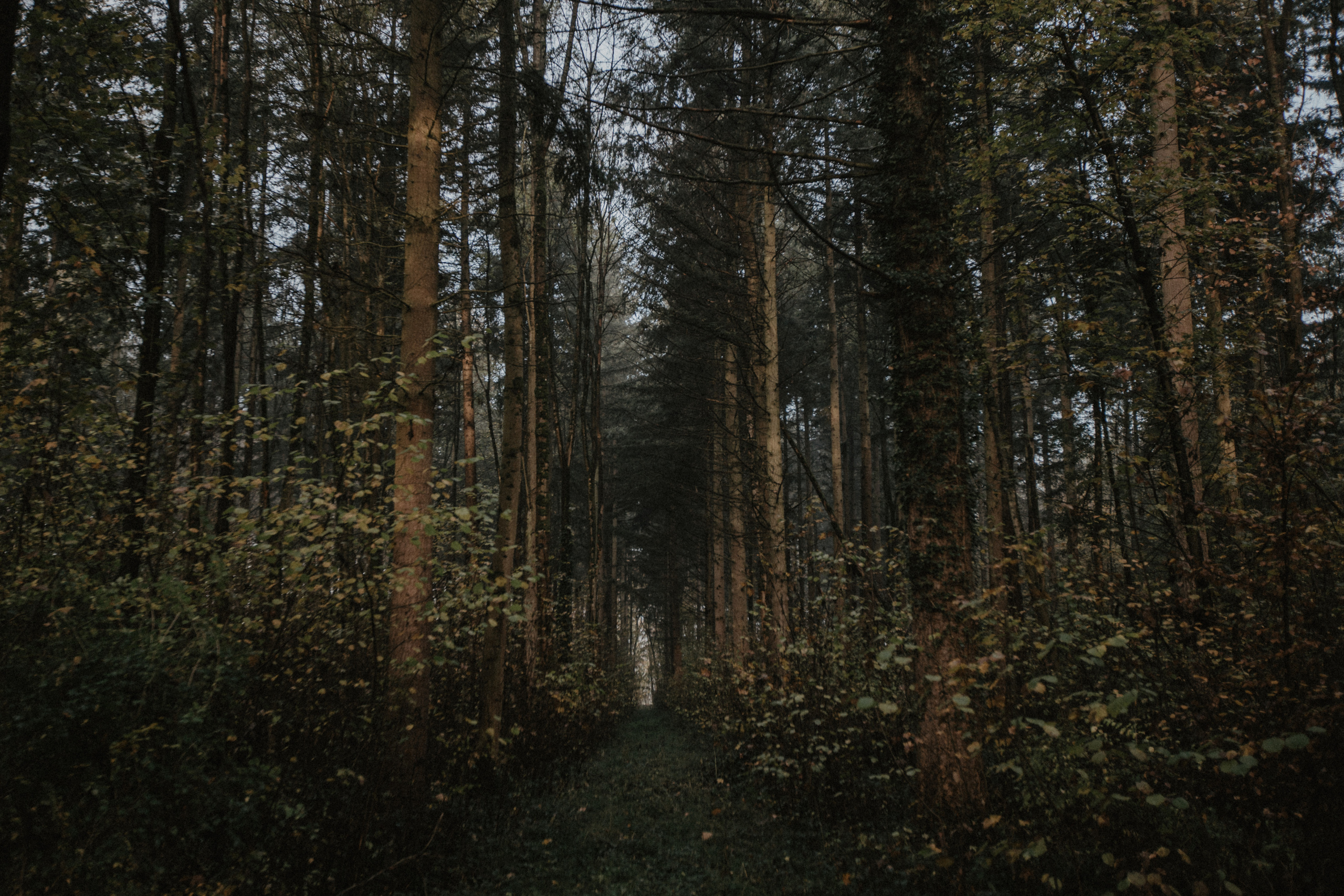 Deutschland. Wedding Event ART Photographer