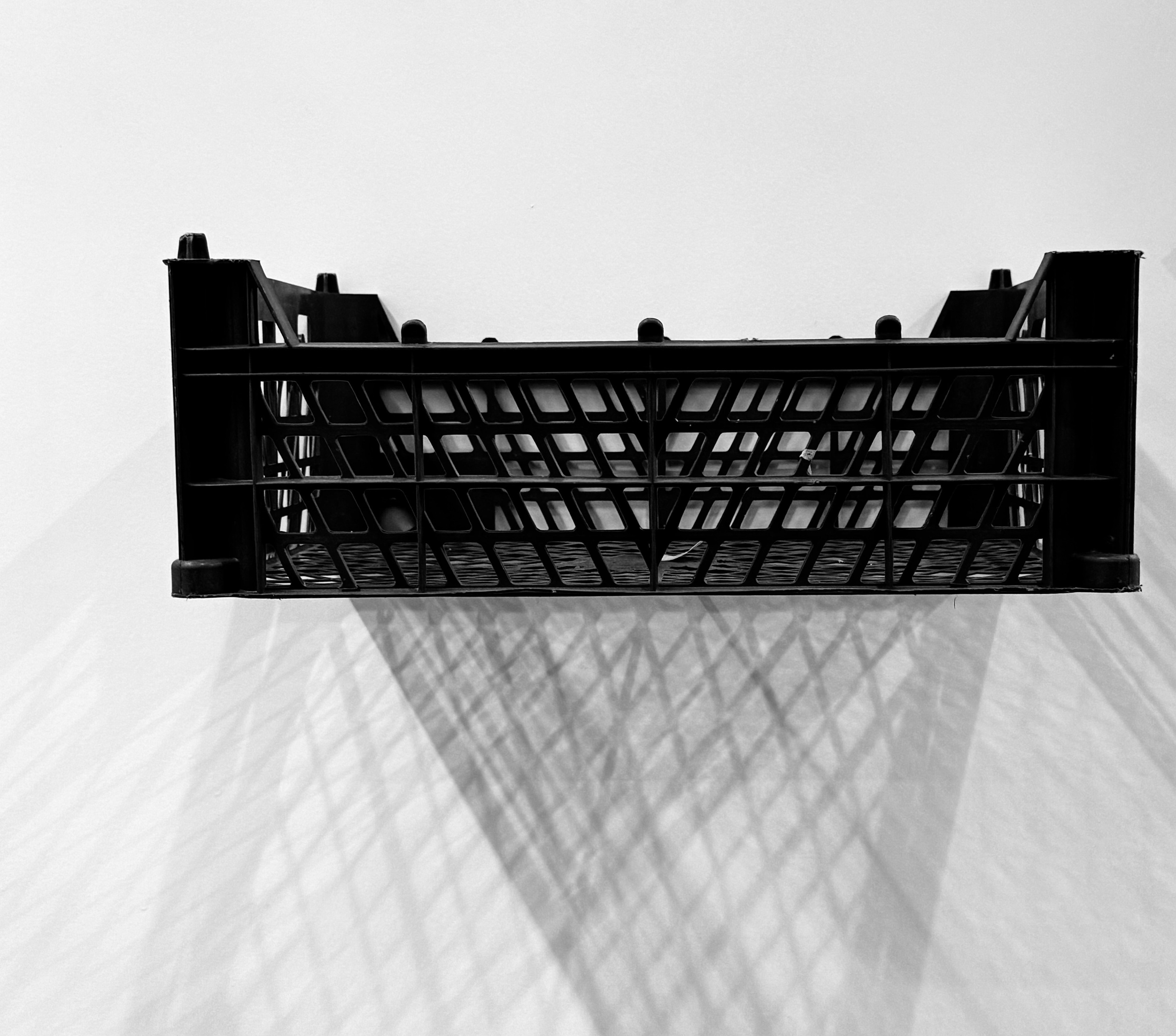 Shots. Janie valde |photographer & visual artist