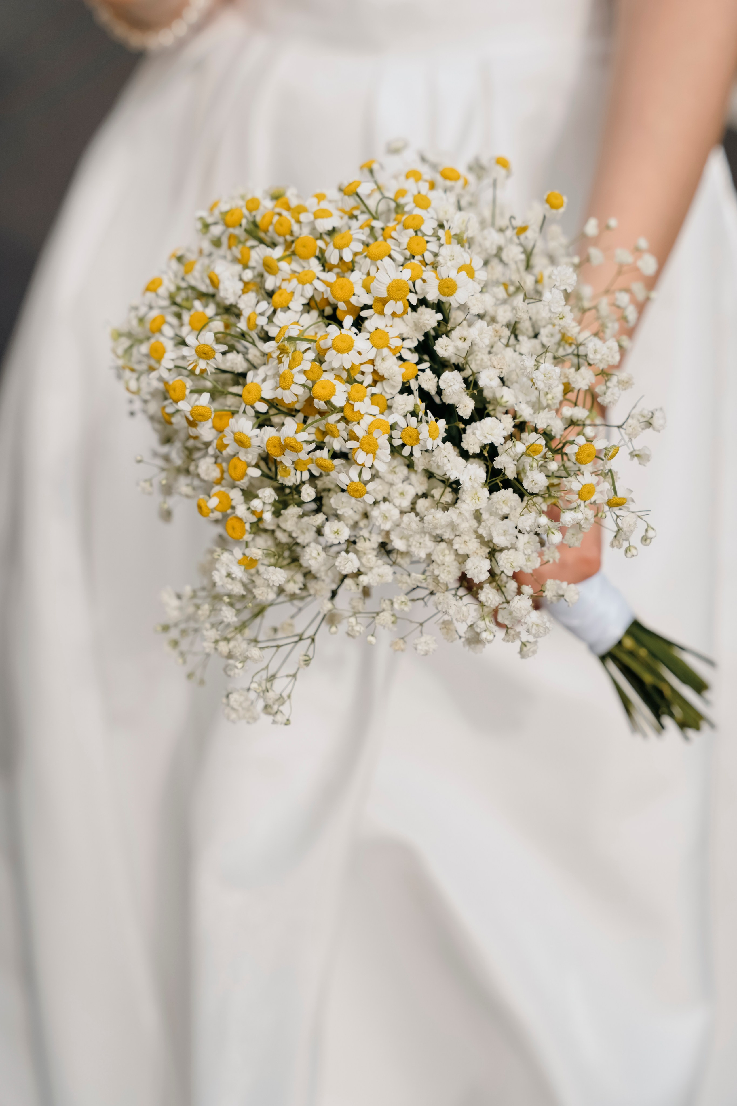 Прогулка молодожёнов. Портретный фотограф в Смоленске и Москве Мария Громова