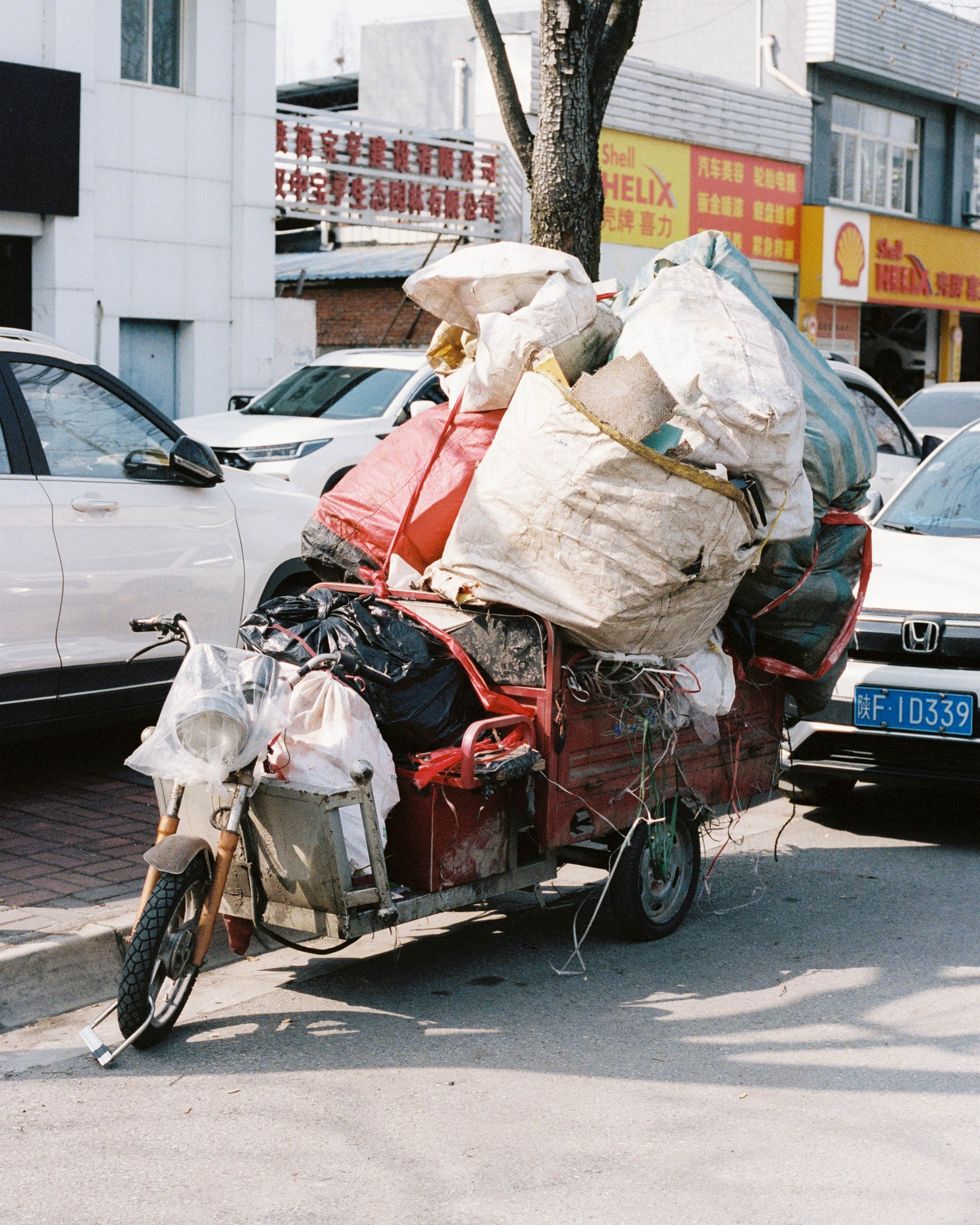 China. Kirill Shashkov