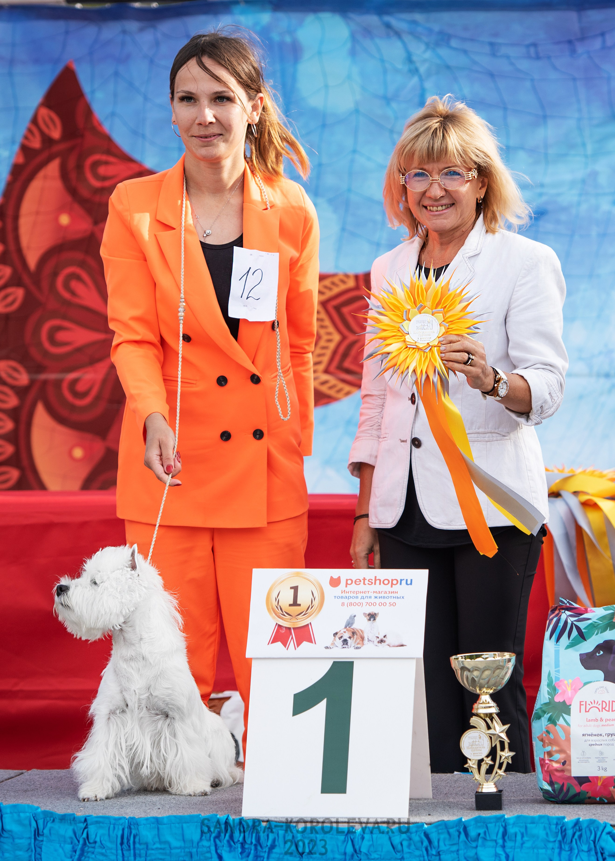 Выставка собак Тюмень 02.09.2023. Дог-фотограф в Тюмени Александра Королева