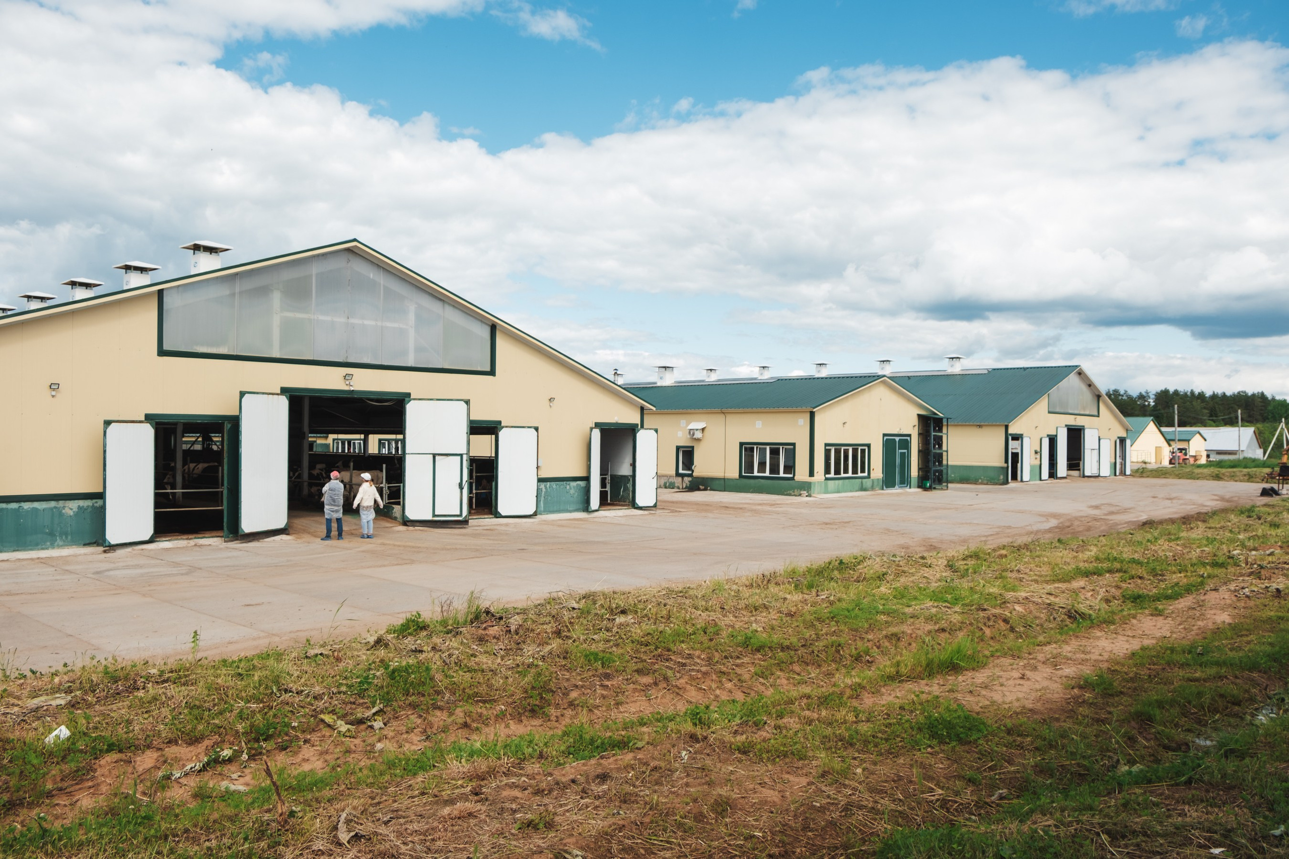 «Вятушка» и «РОСТСЕЛЬМАШ». Varankin denis