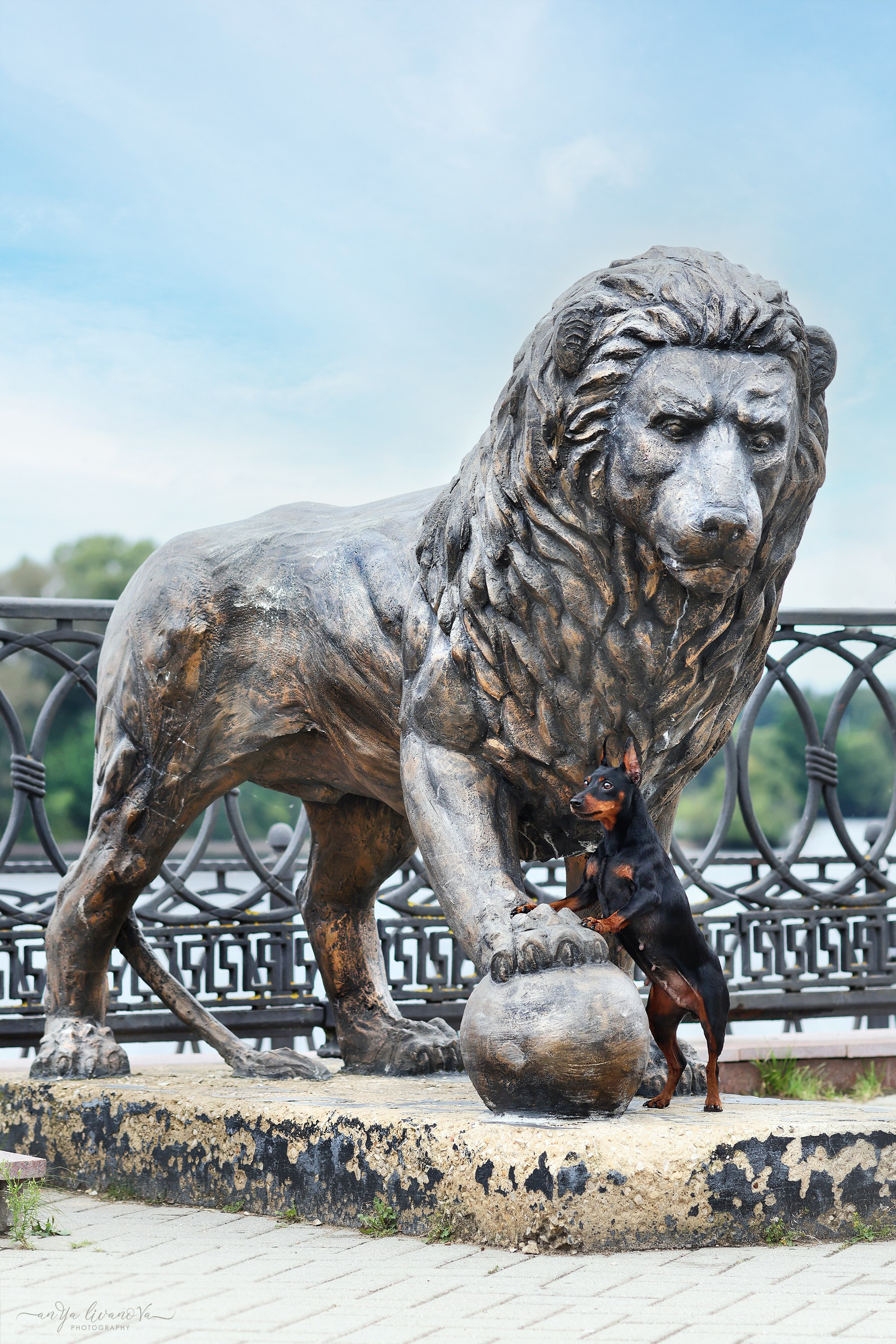 Ляля и Марфа. Фотограф анималист Аня Ливанова | Рыбинск