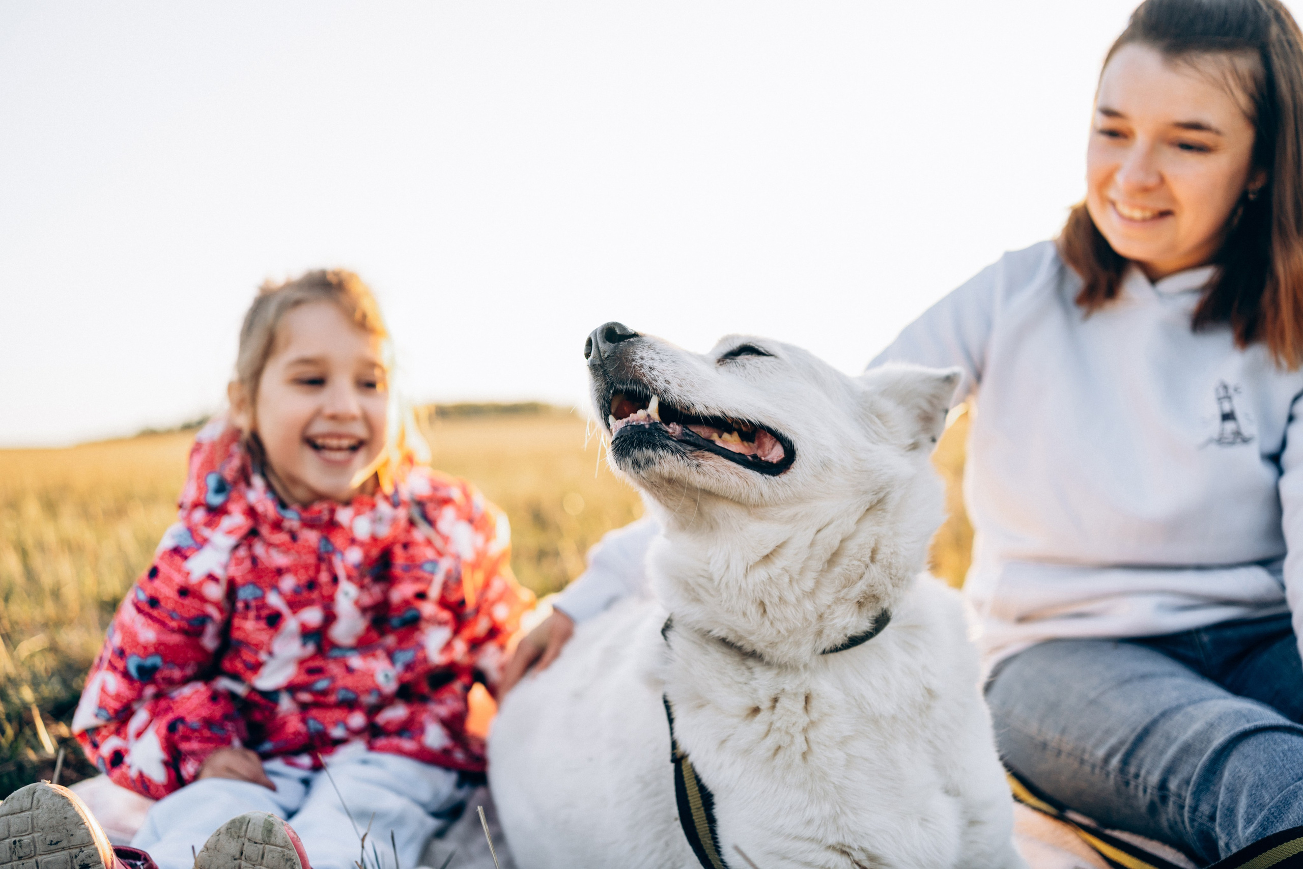 Обо мне. Фотограф-анималист Анастасия Большакова