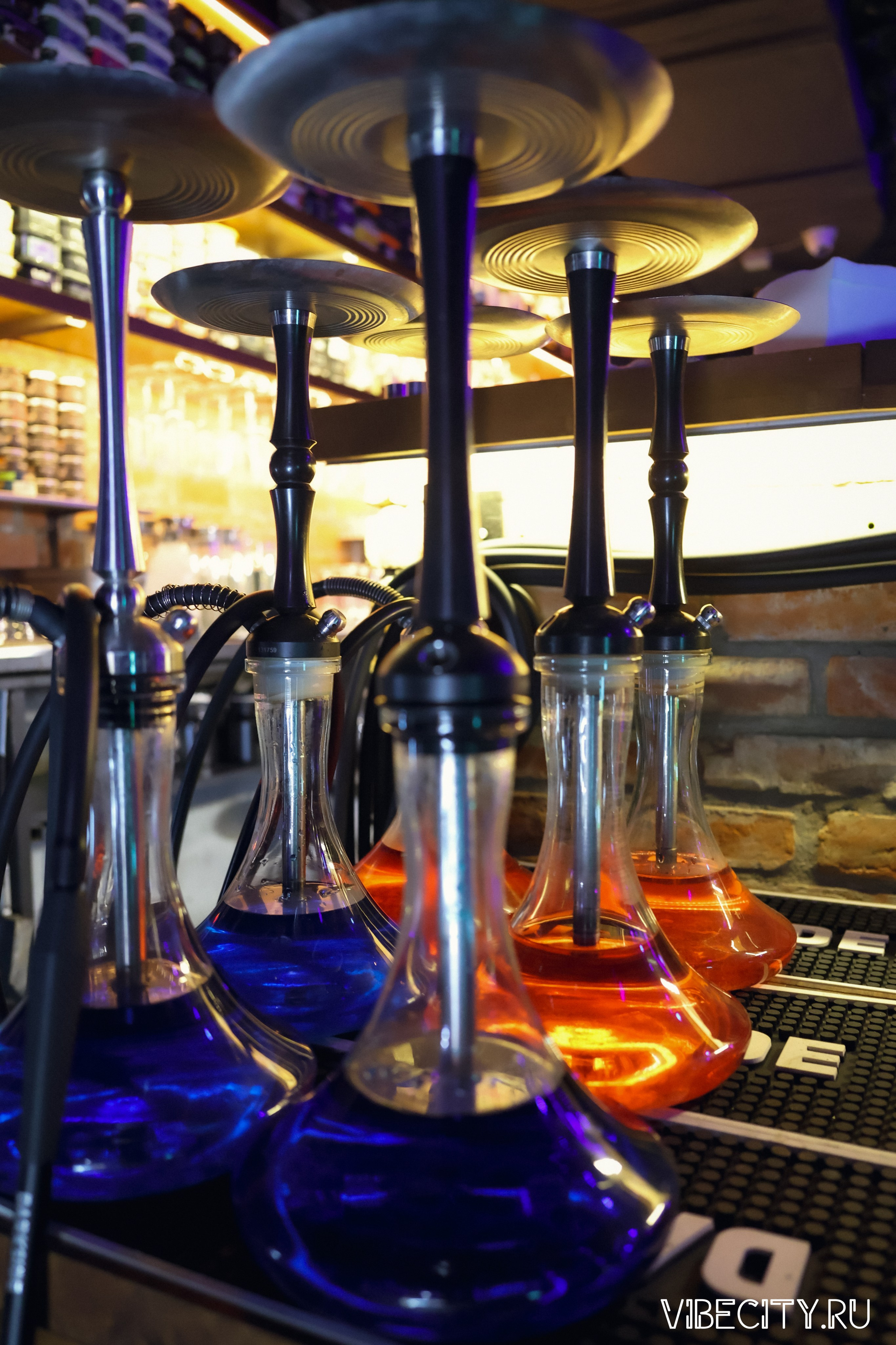 МЯТА lounge. VIBECITY.RU Вайб Сити Ру Фоторепортажи Фотоотчеты Калининград