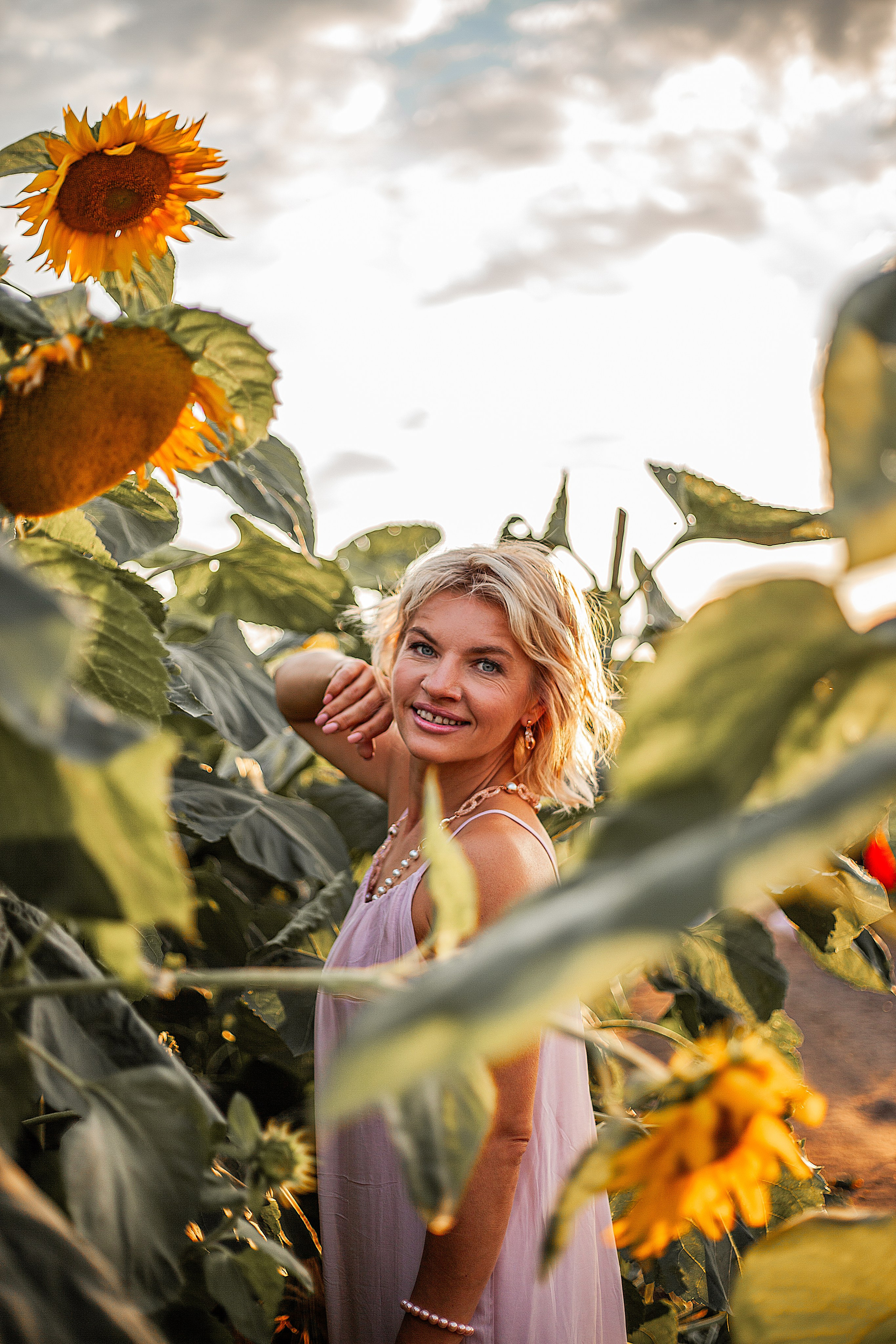 Подсолнухи!