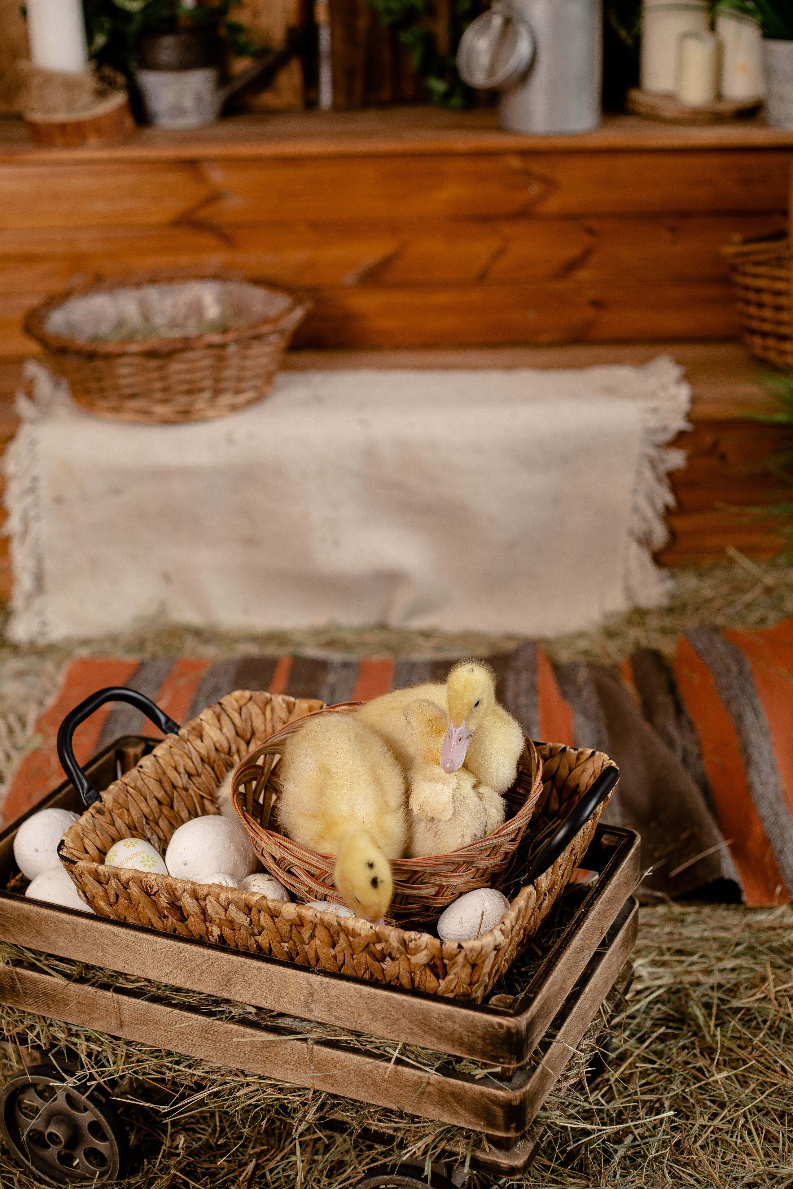 Пасхальные 2025. Семейный фотограф в Саратове Элоиза Ляпина