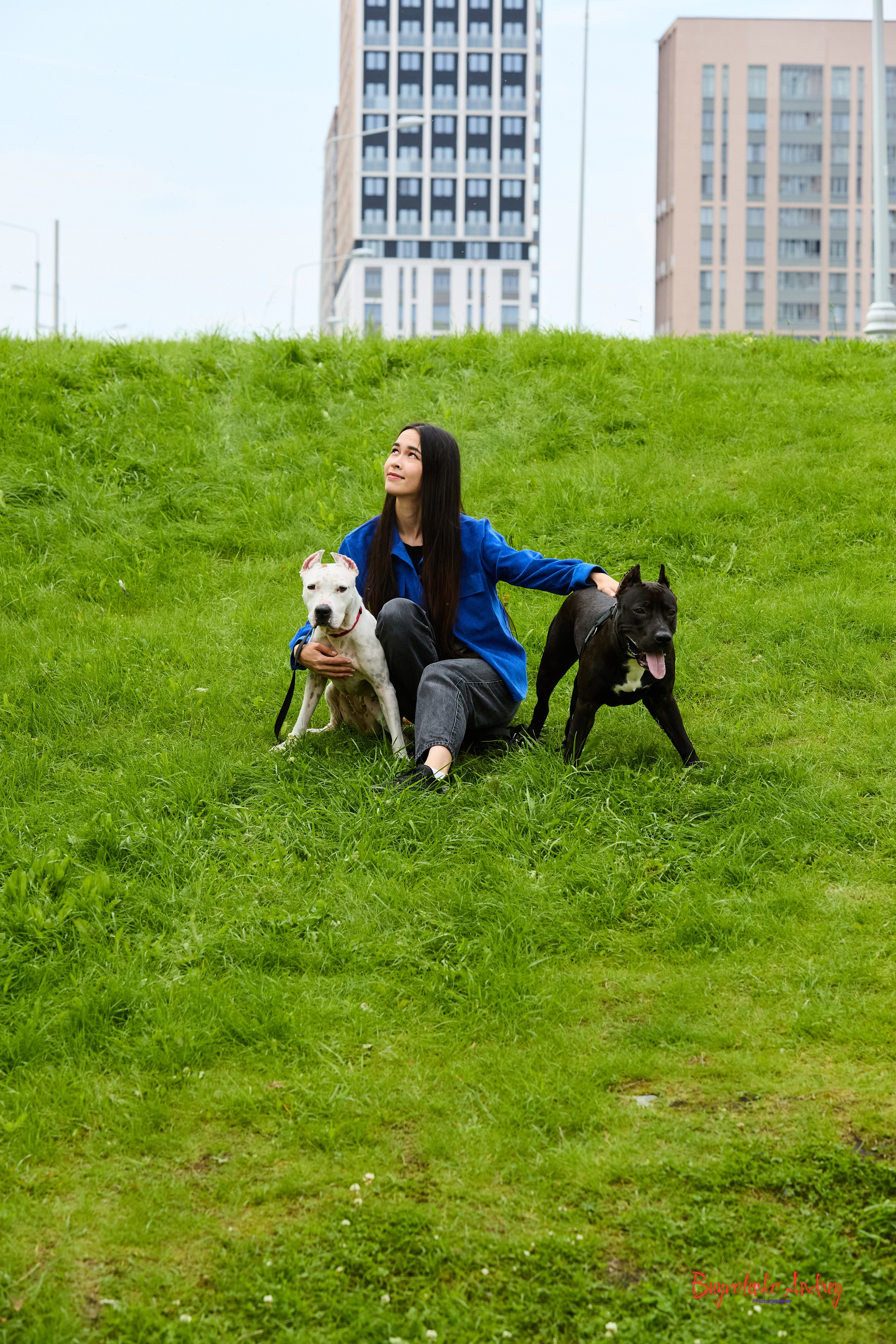 Проект фотопрогулка с хвостиком. Buyvolenko Andrey