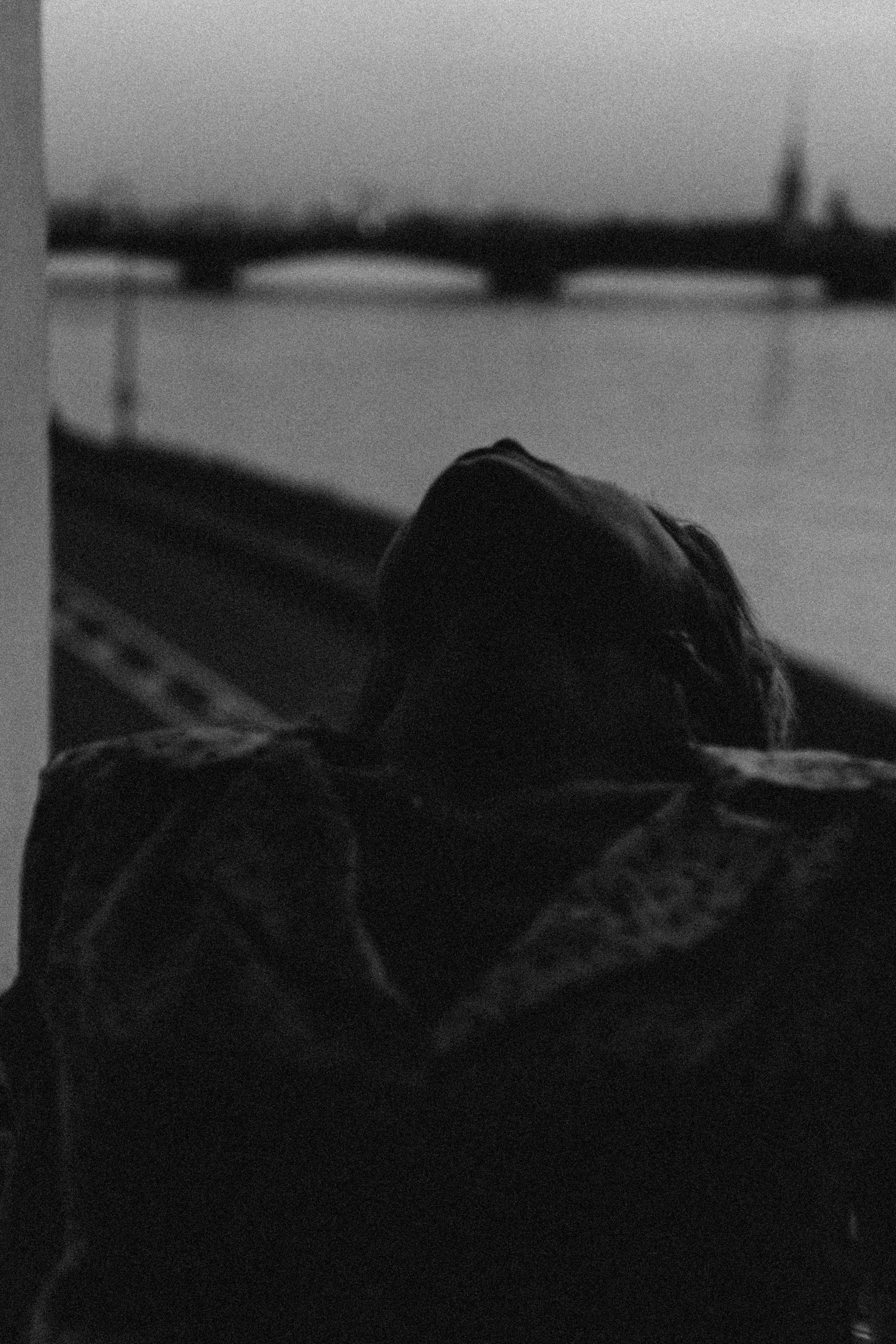 ЛЕТНИЙ ВЕЧЕР. Профессиональный фотограф, Санкт-Петербург — Виктория Богомолова