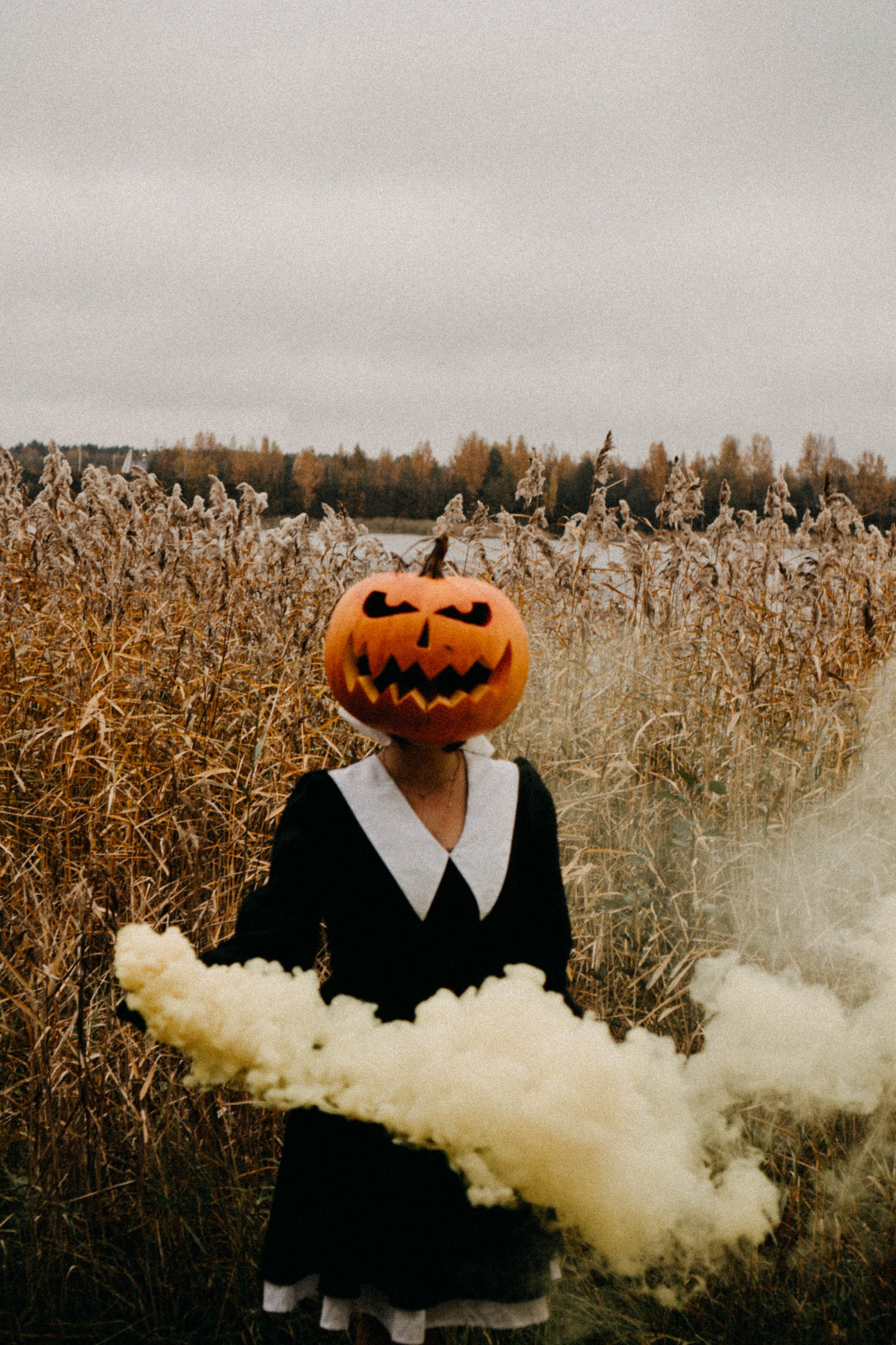 Осеняя. Профессиональный фотограф, Санкт-Петербург — Виктория Богомолова