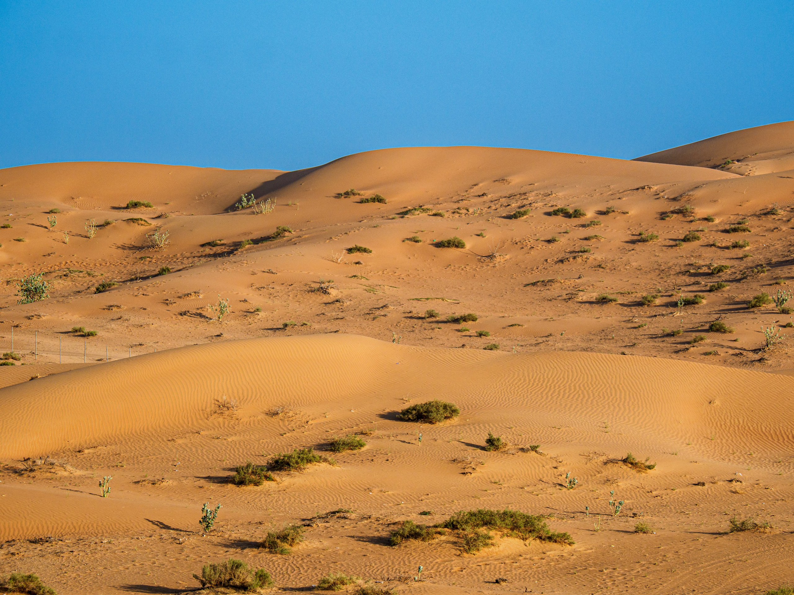 Эмираты, 2023. Творческие сьемки