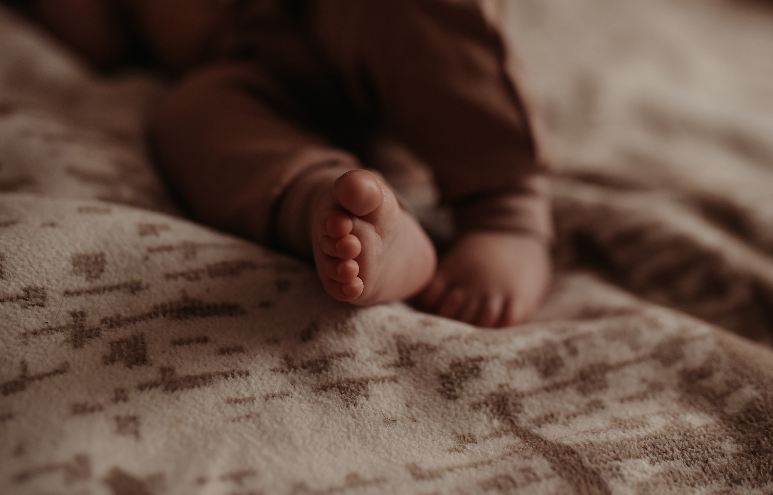 Домашняя история. Семейный фотограф Олеся Батурина Рязань