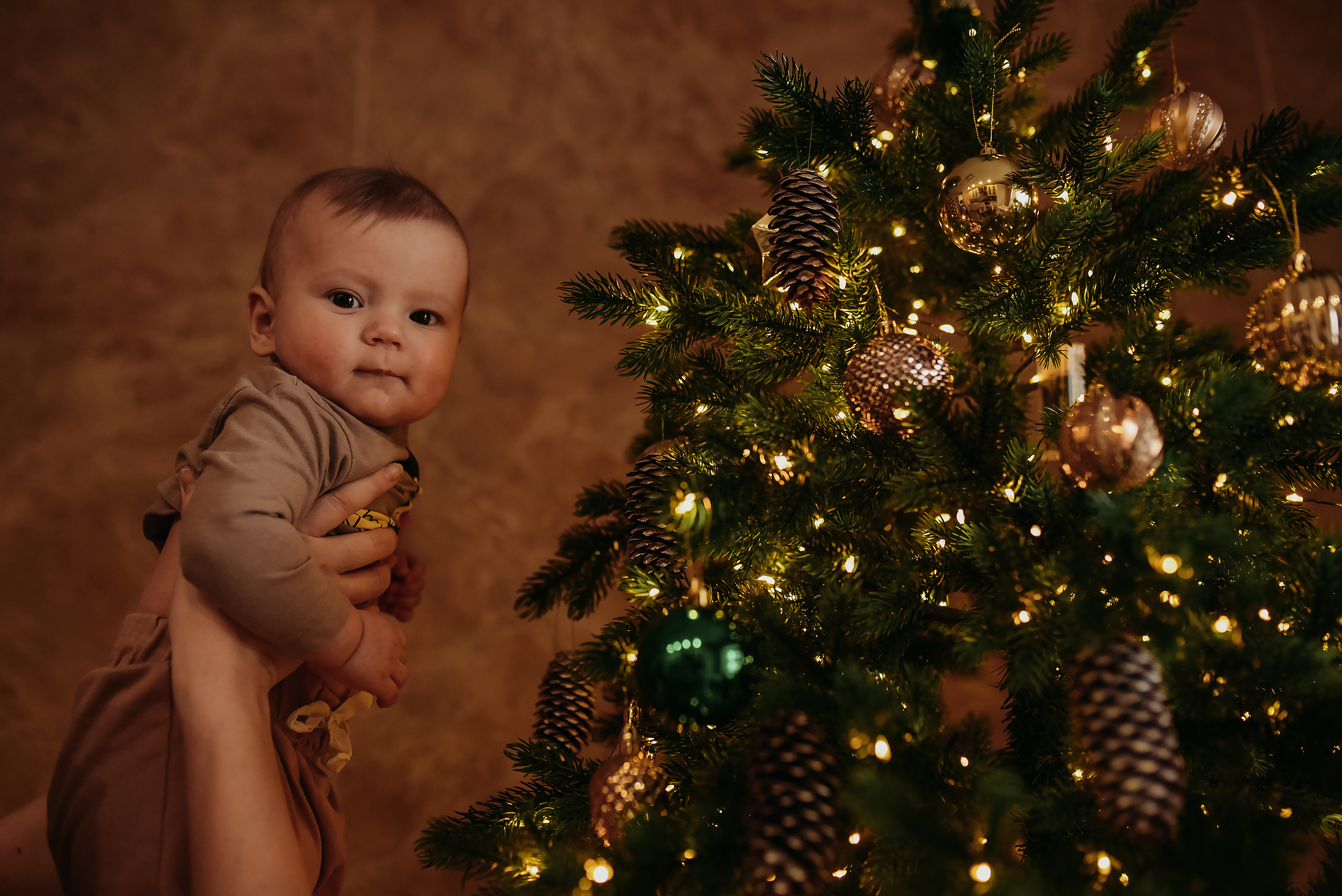 Домашняя история. Семейный фотограф Олеся Батурина Рязань