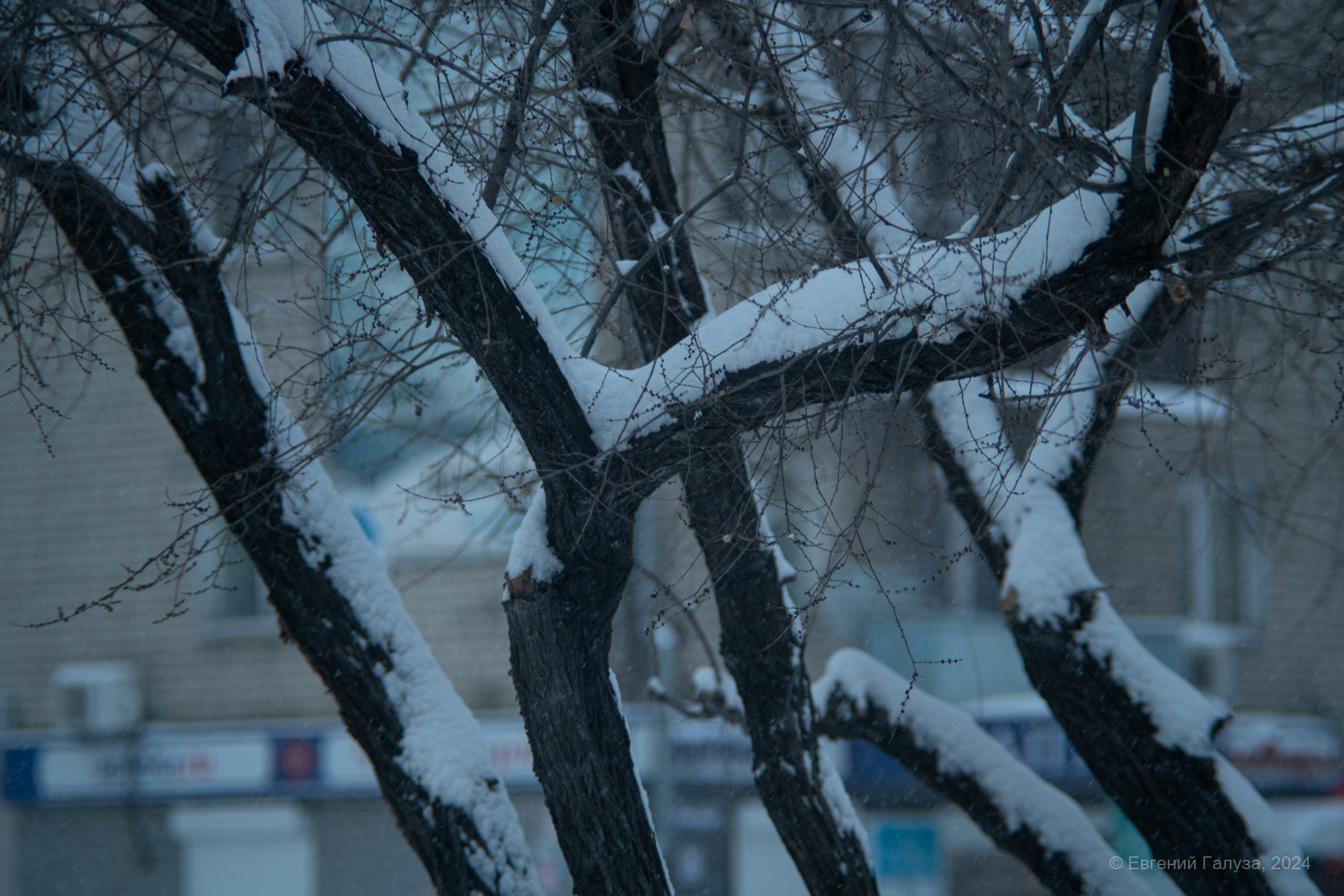 Разное. Репортажный фотограф г. Чита