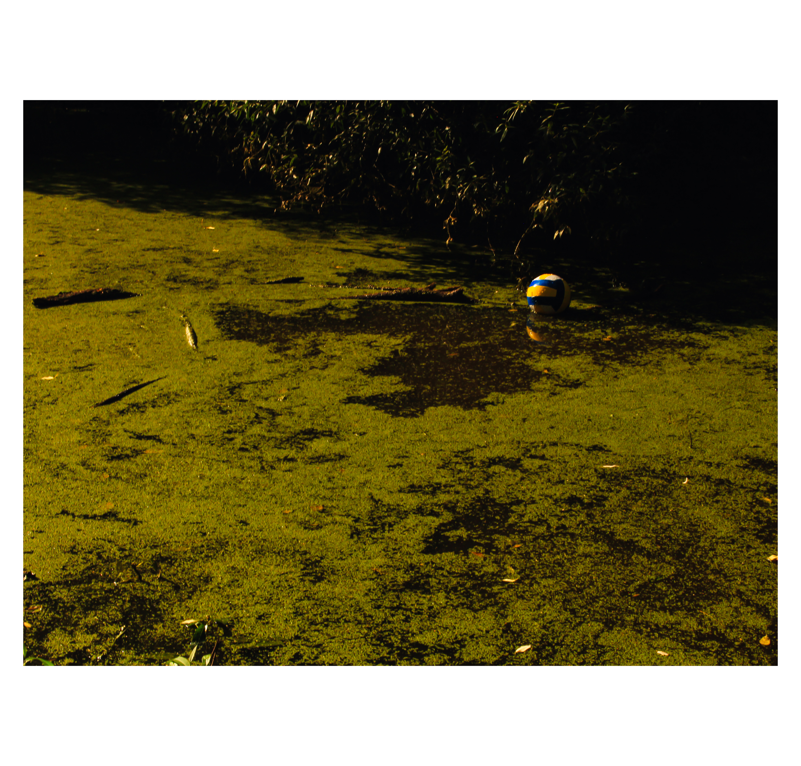 Summertime. Фотограф/дизайнер в Екатеринбурге Хитрый Дмитрий