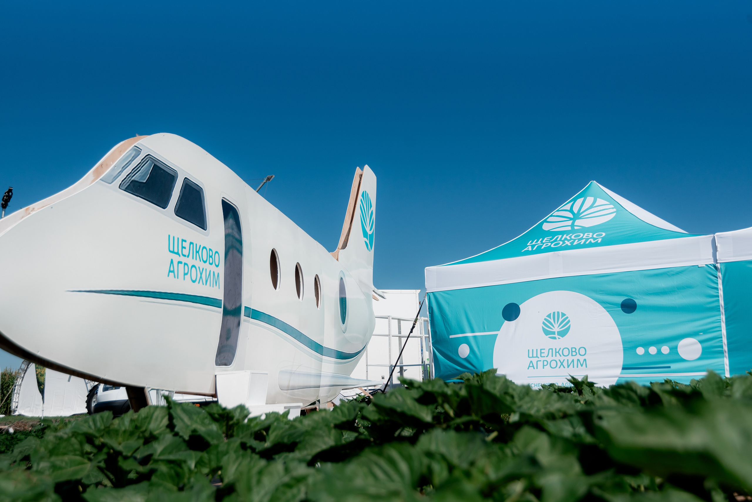 День Поля 2025. Фотограф в Волгограде и Волжском Александр Горбань