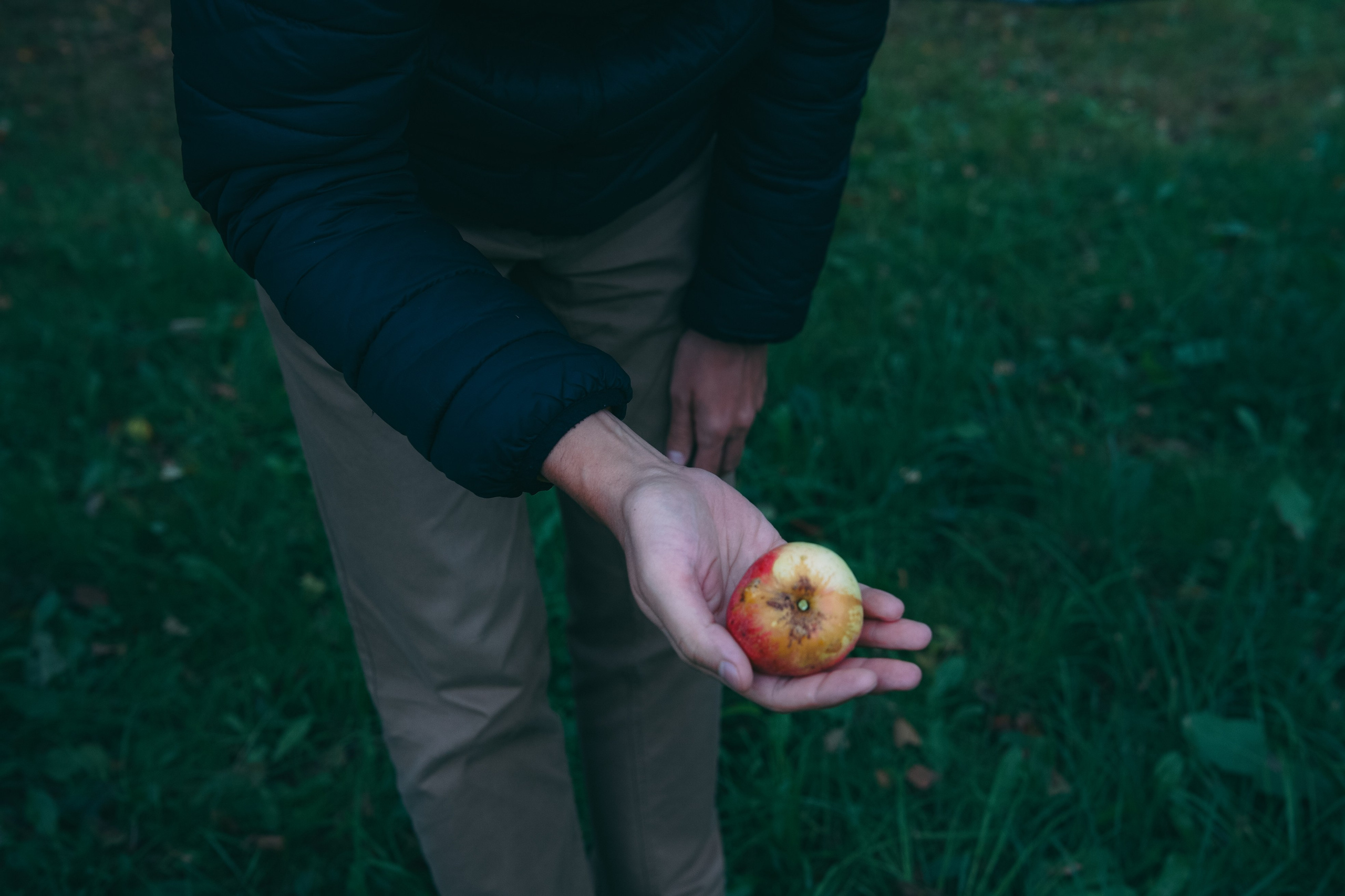 Осень 2025. Фотограф из Москвы — DASHA NOVA | Авторская фотография в разных жанрах