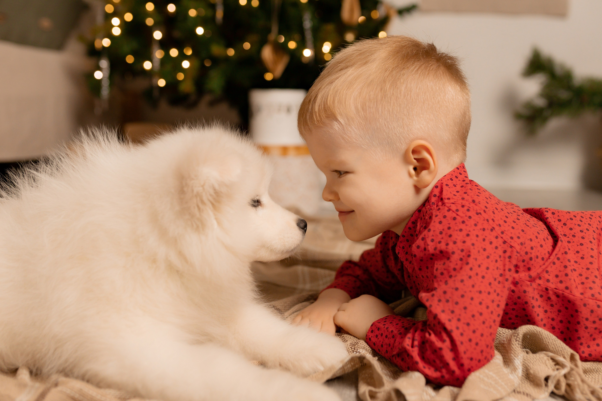 Новогодние съёмки. Интерьерная фотостудия в г. Барнаул