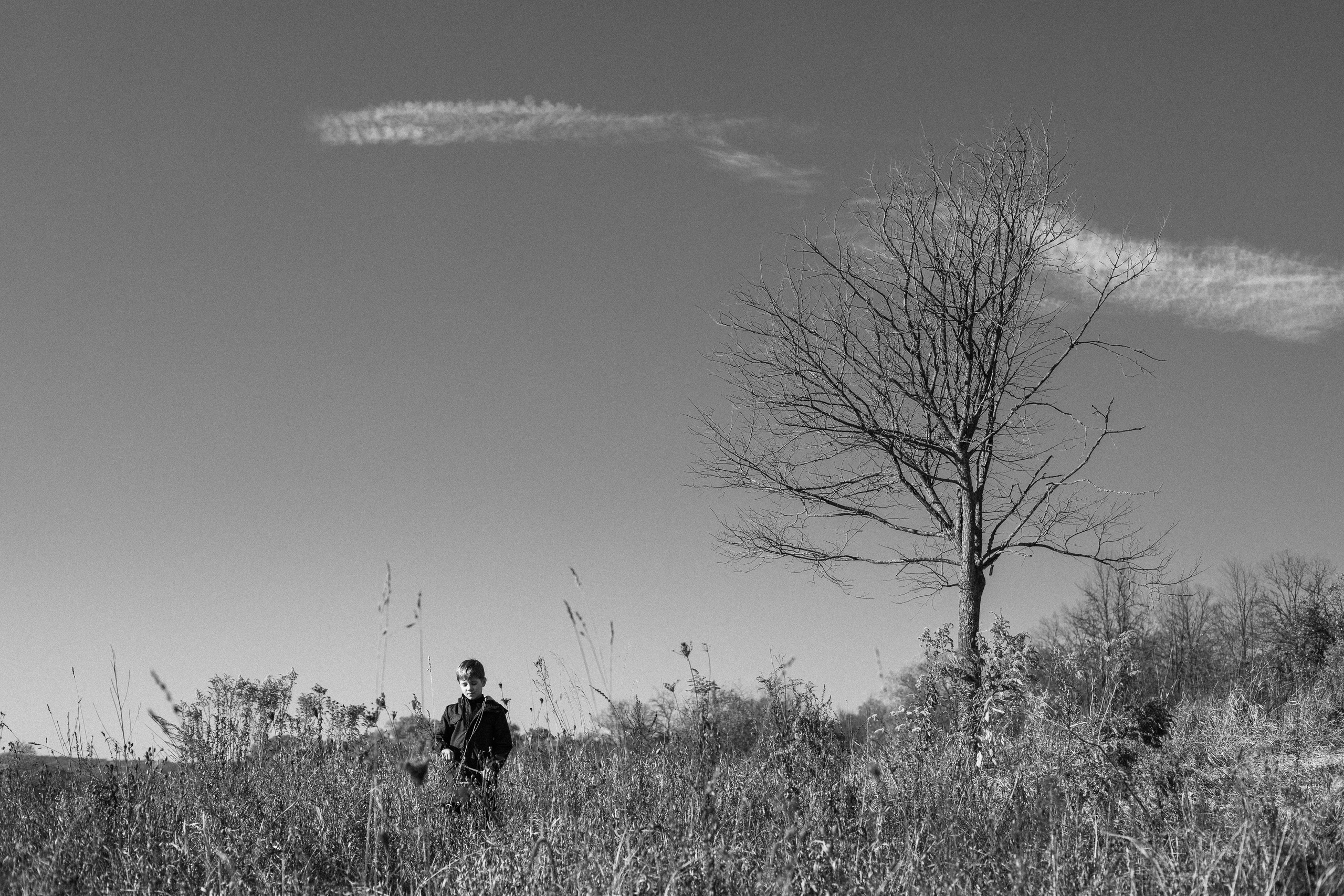 Васелина и Аркадий. Женский семейный фотограф Тула Москва Захарова Анна