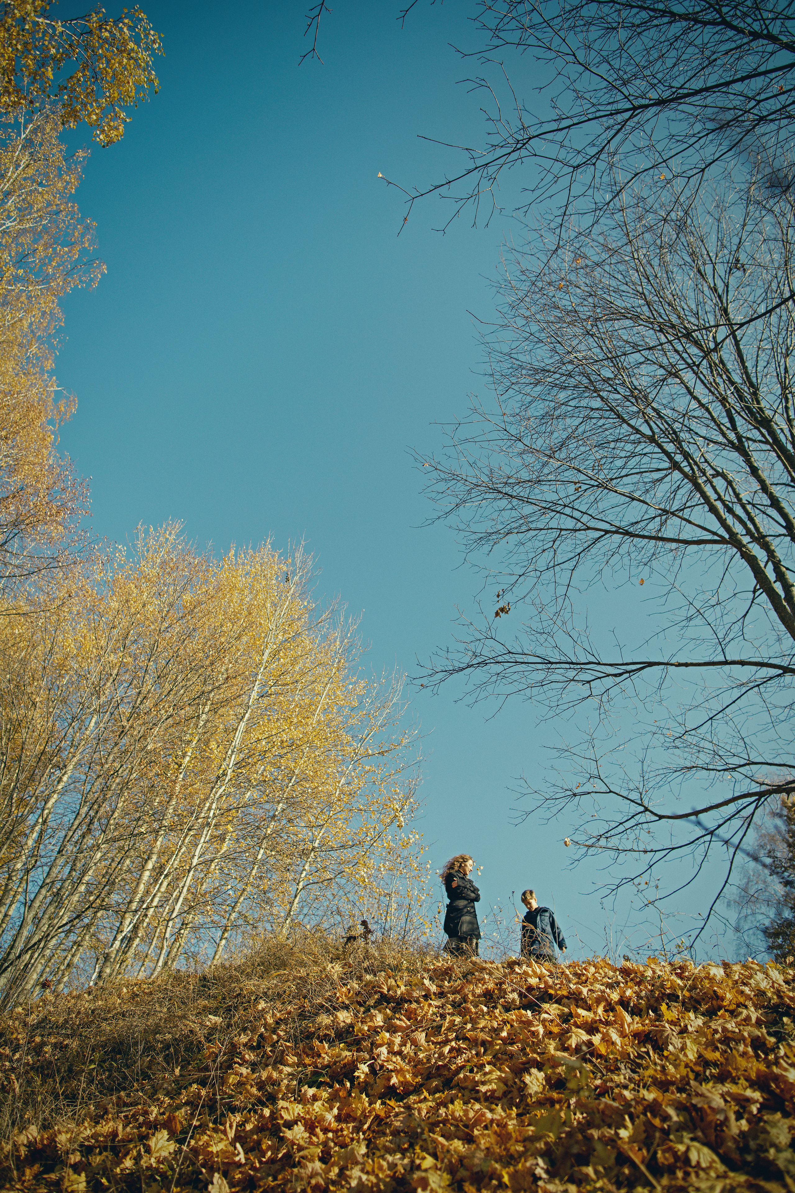 Васелина и Аркадий. Женский семейный фотограф Тула Москва Захарова Анна