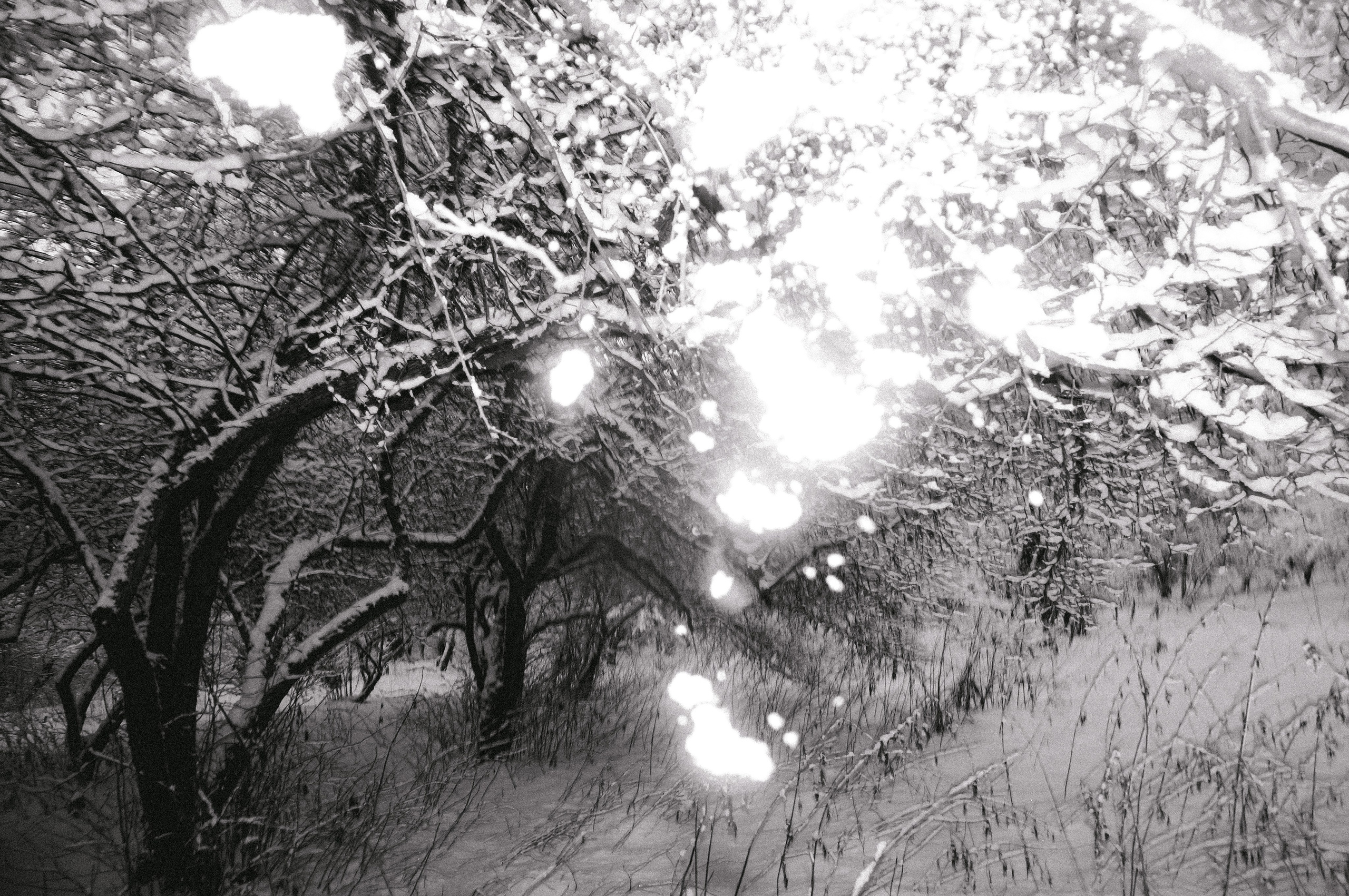 Мастерская. …