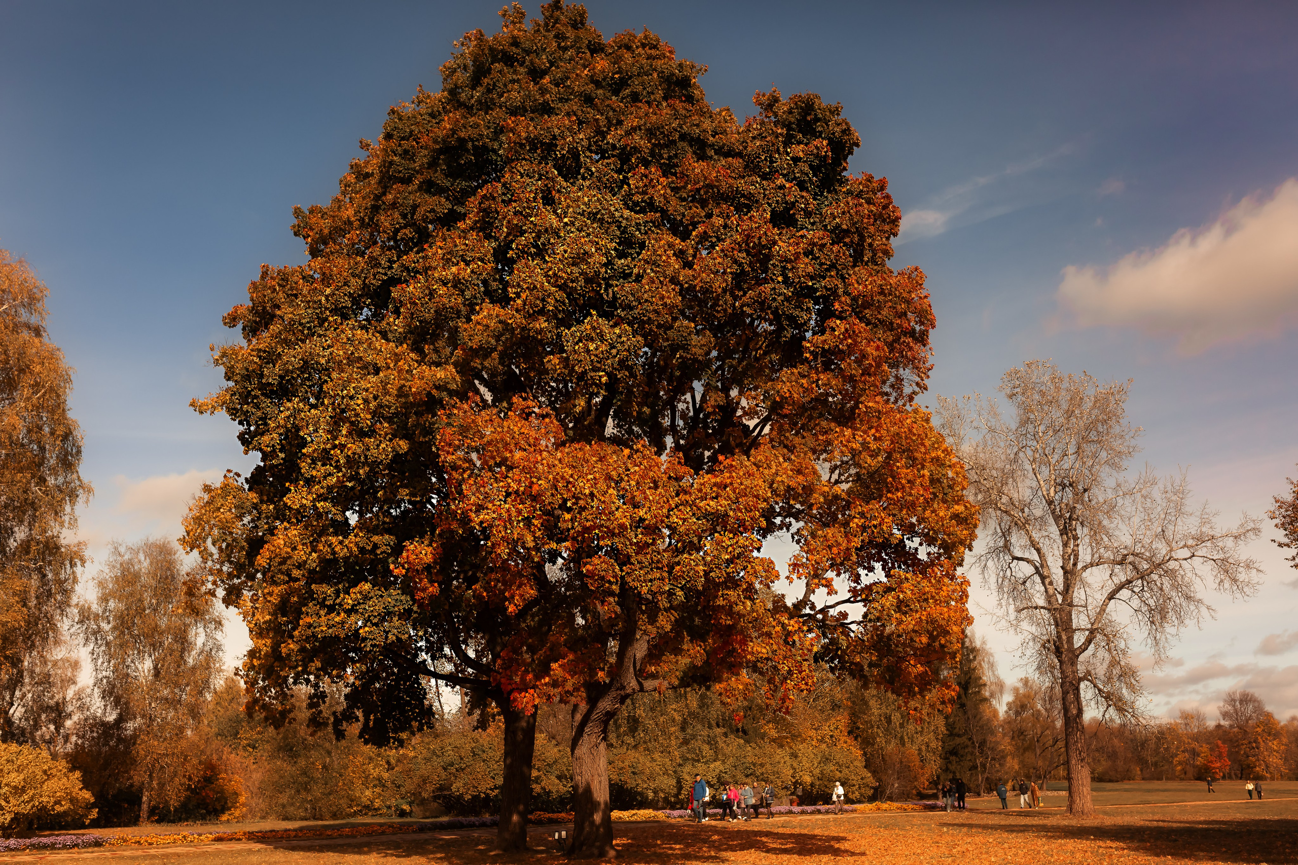 Тарханы. Съемка Таинств Крещения Венчания, детские и семейные съемки в Пензе