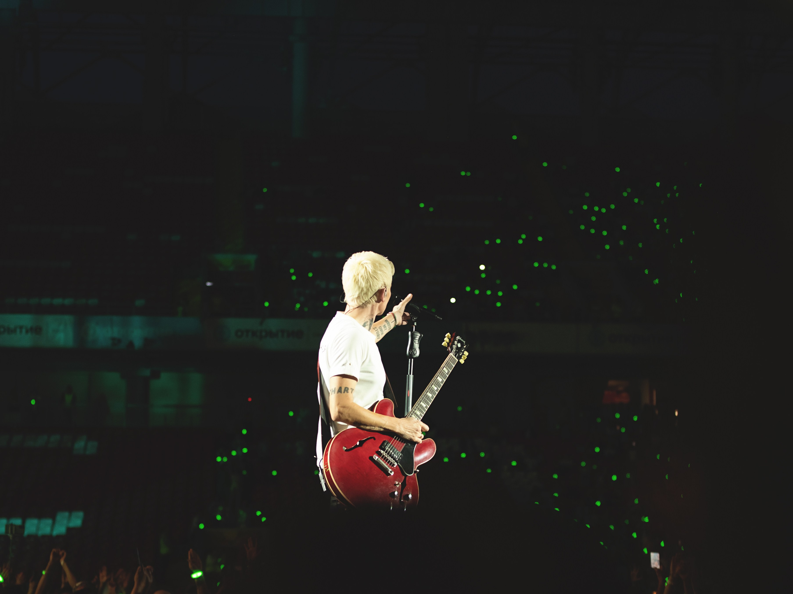 Диана Арбенана/Ночные снайперы. Юбилейный концерт. Фотограф в Москве, Оксана Ребристая