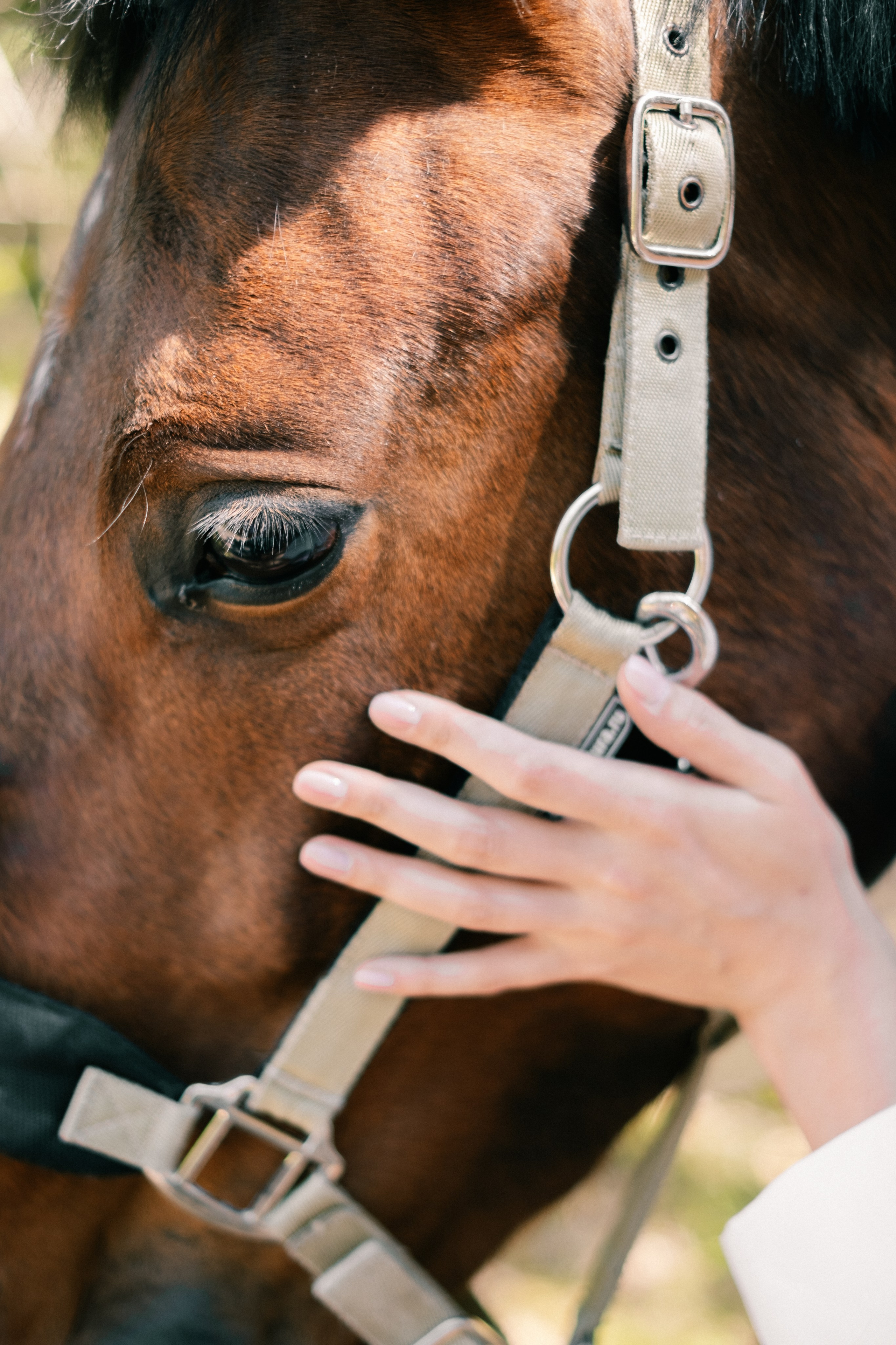 Наташа. Съёмка с лошадкой. Lickord
