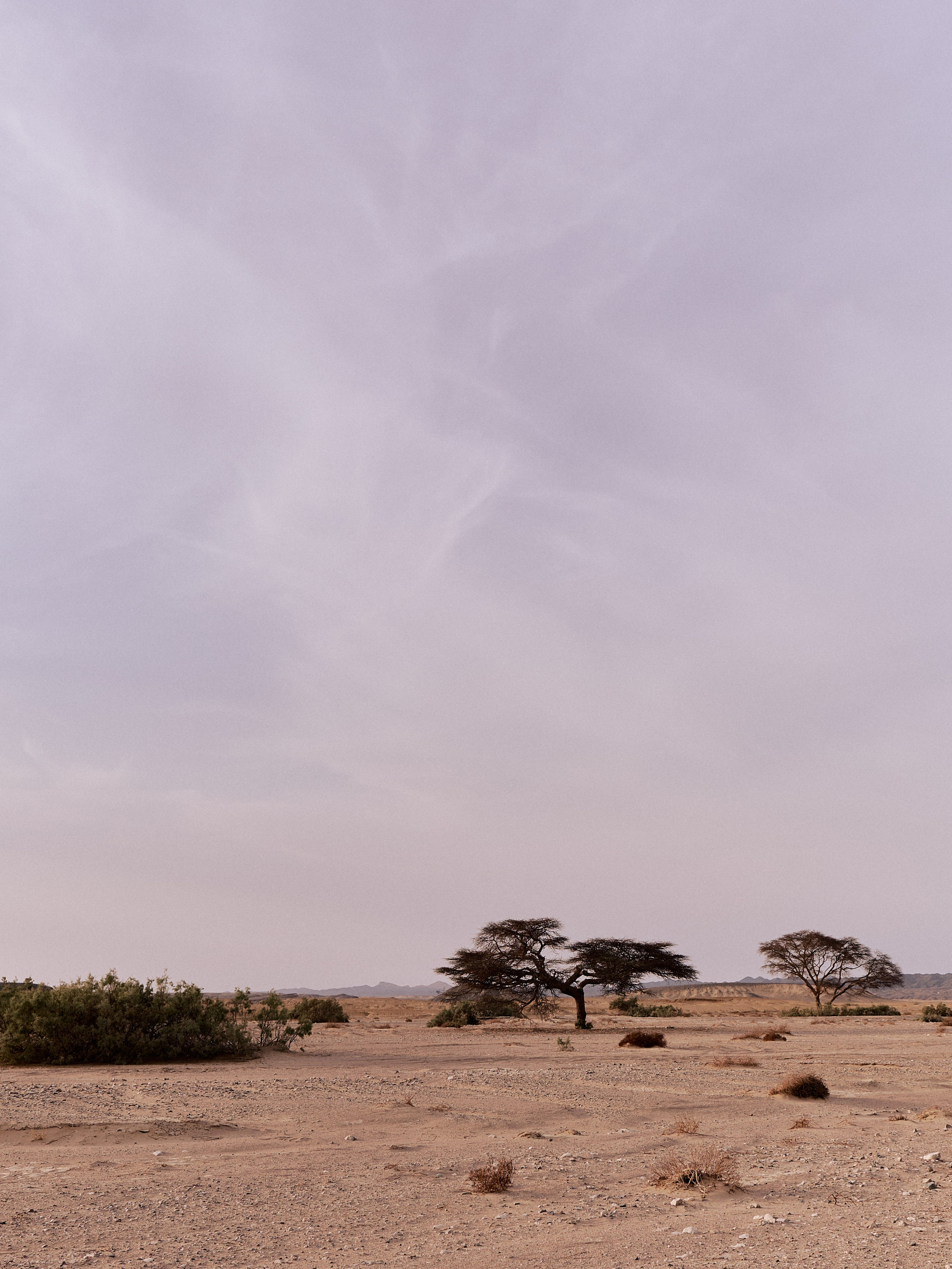 Другое 3. Jorgis Talè — photographer, kind person, teacher of arts and other mag