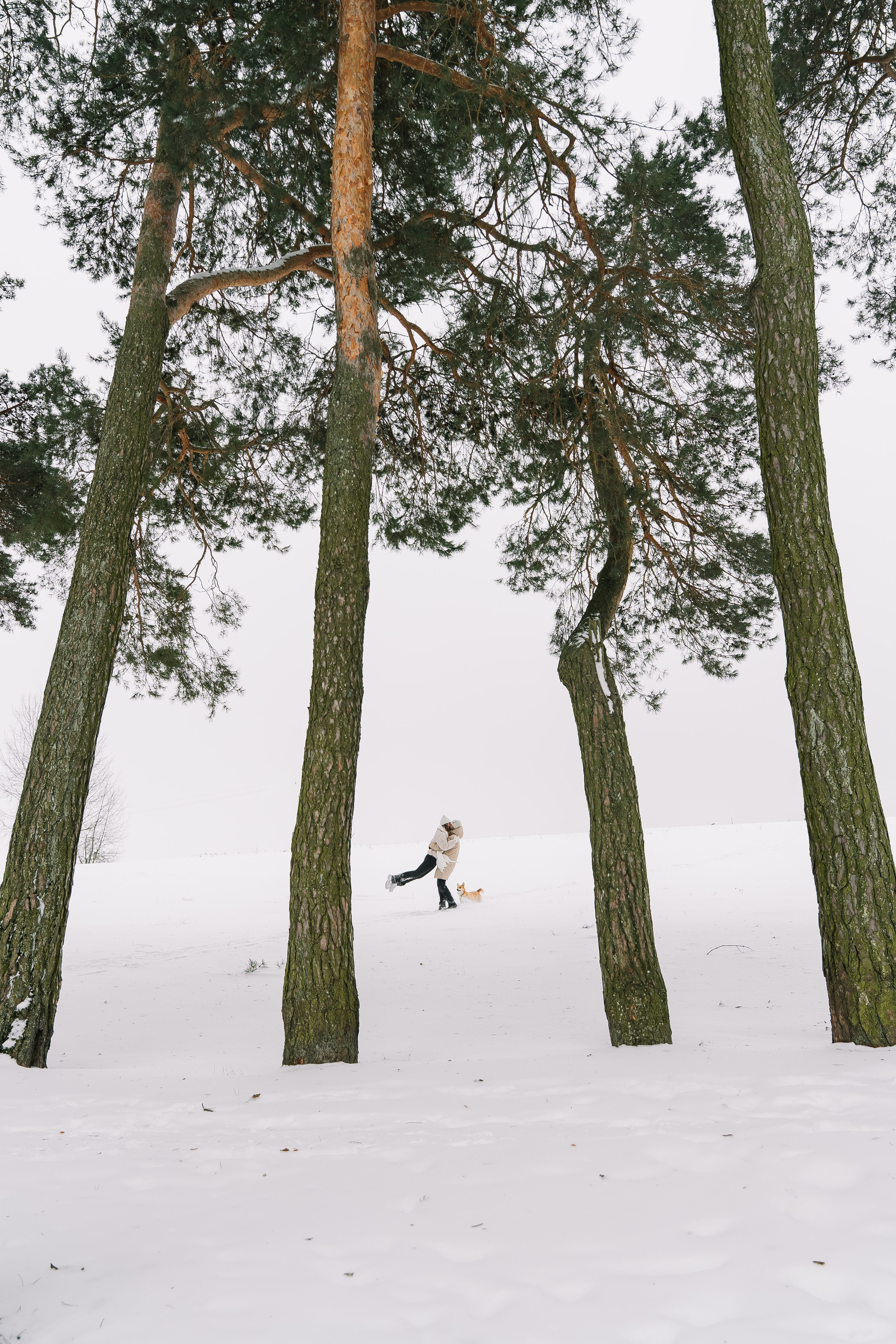 Зимние выходные. Свадебный Фотограф Минск || Фото и Видеосъёмка Минск || Другие города