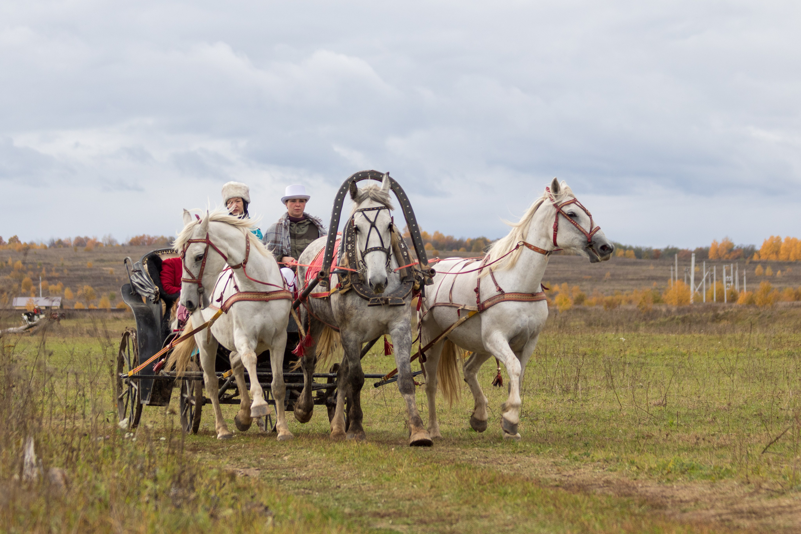 Конно-псовые охоты. Балетный фотограф в Москве Галина Молчанова