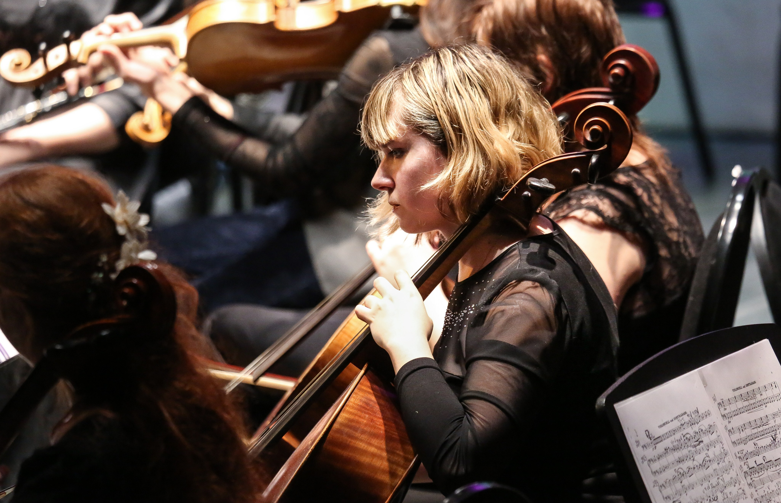 Концерт в Доме музыки к Международному дню борьбы с эпилепсией. Дарья Письменюк / Darya Leitstern — фотограф, музыкант, журналист, путешественник