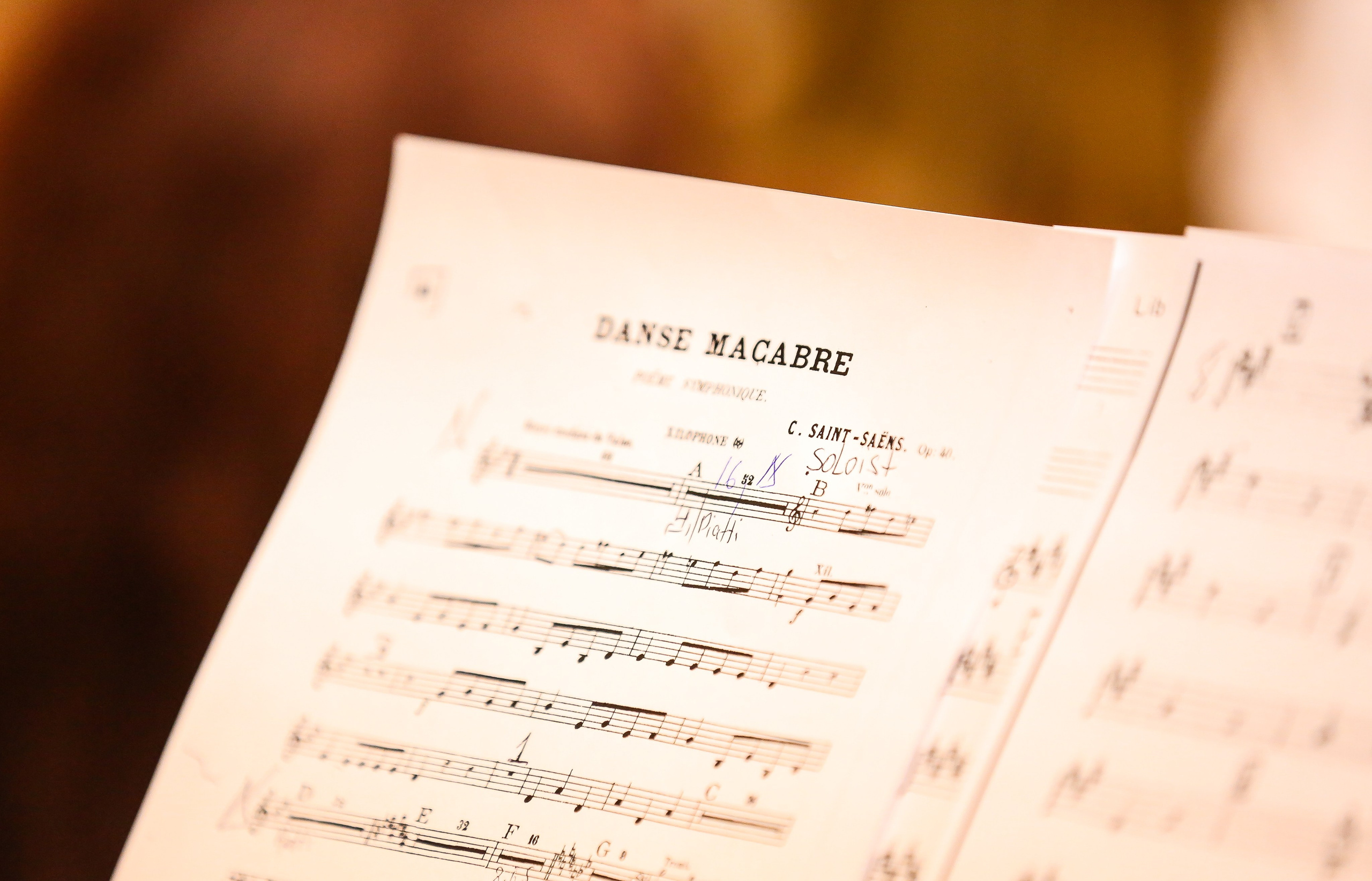 Концерт «Приглашение к танцу» в Музее Пушкина. Дарья Письменюк / Darya Leitstern — фотограф, музыкант, журналист, путешественник