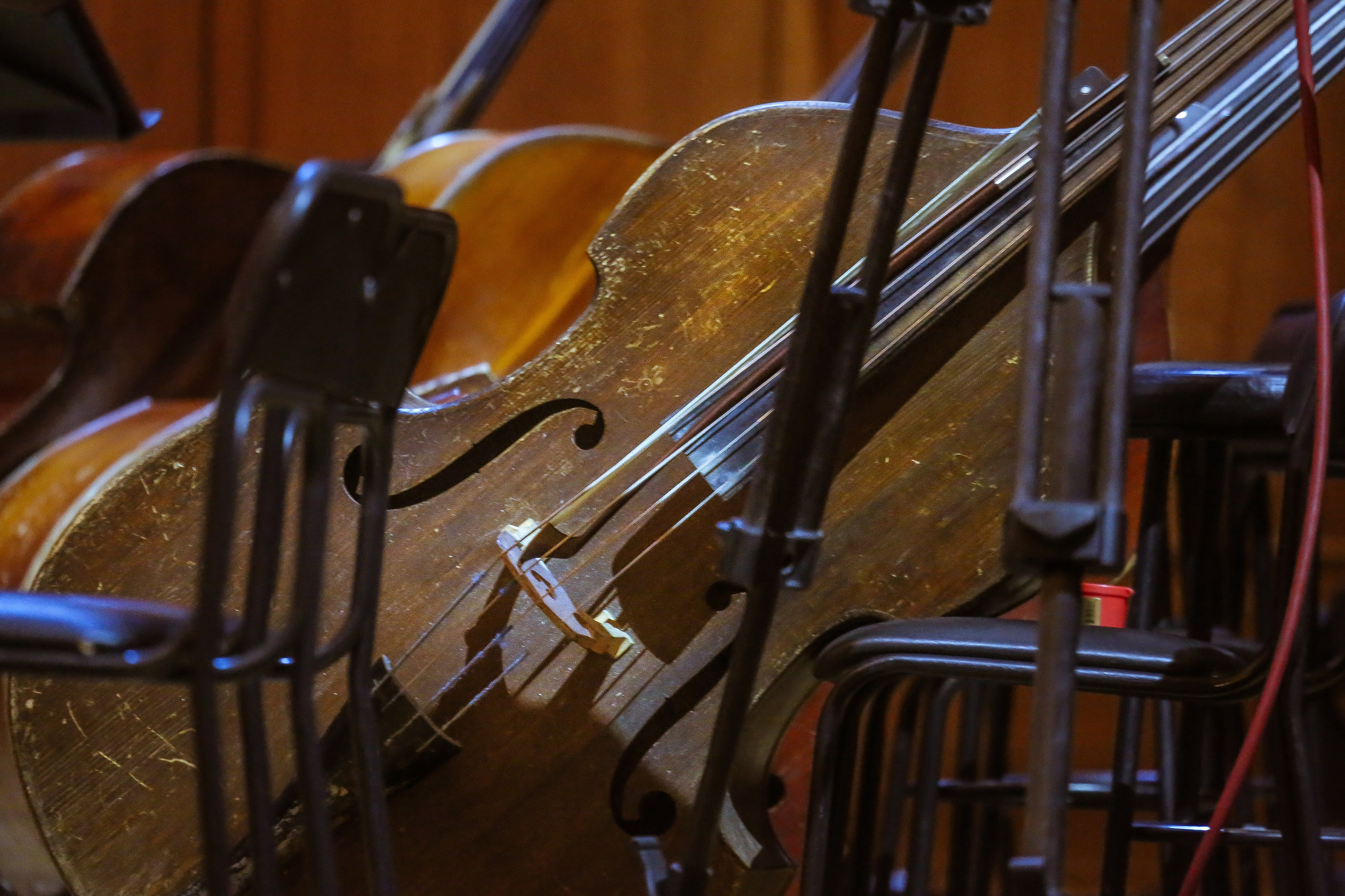 Башмет, Хабенский и оркестр будущего. Дарья Письменюк / Darya Leitstern — фотограф, музыкант, журналист, путешественник