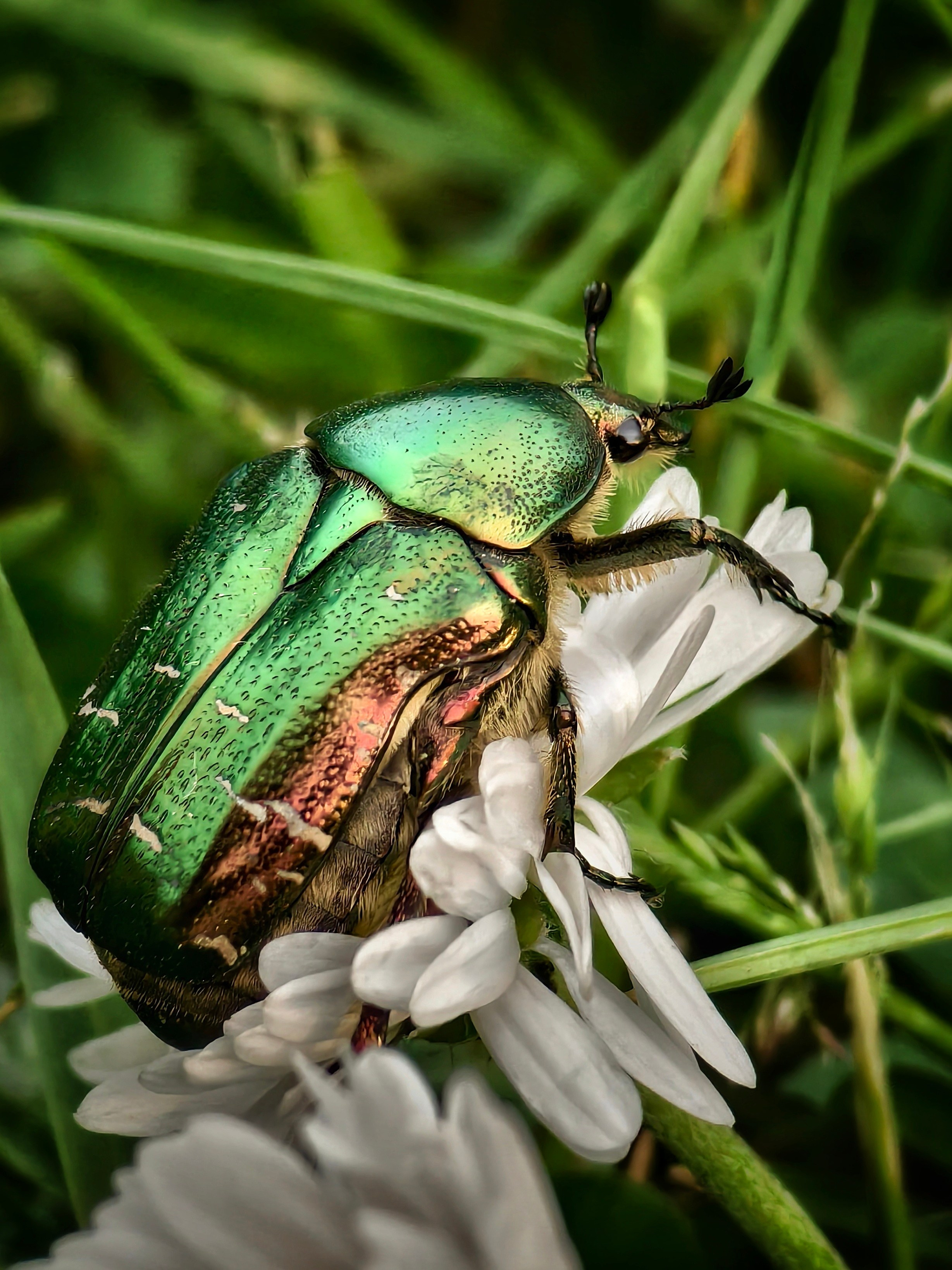 Большое в малом