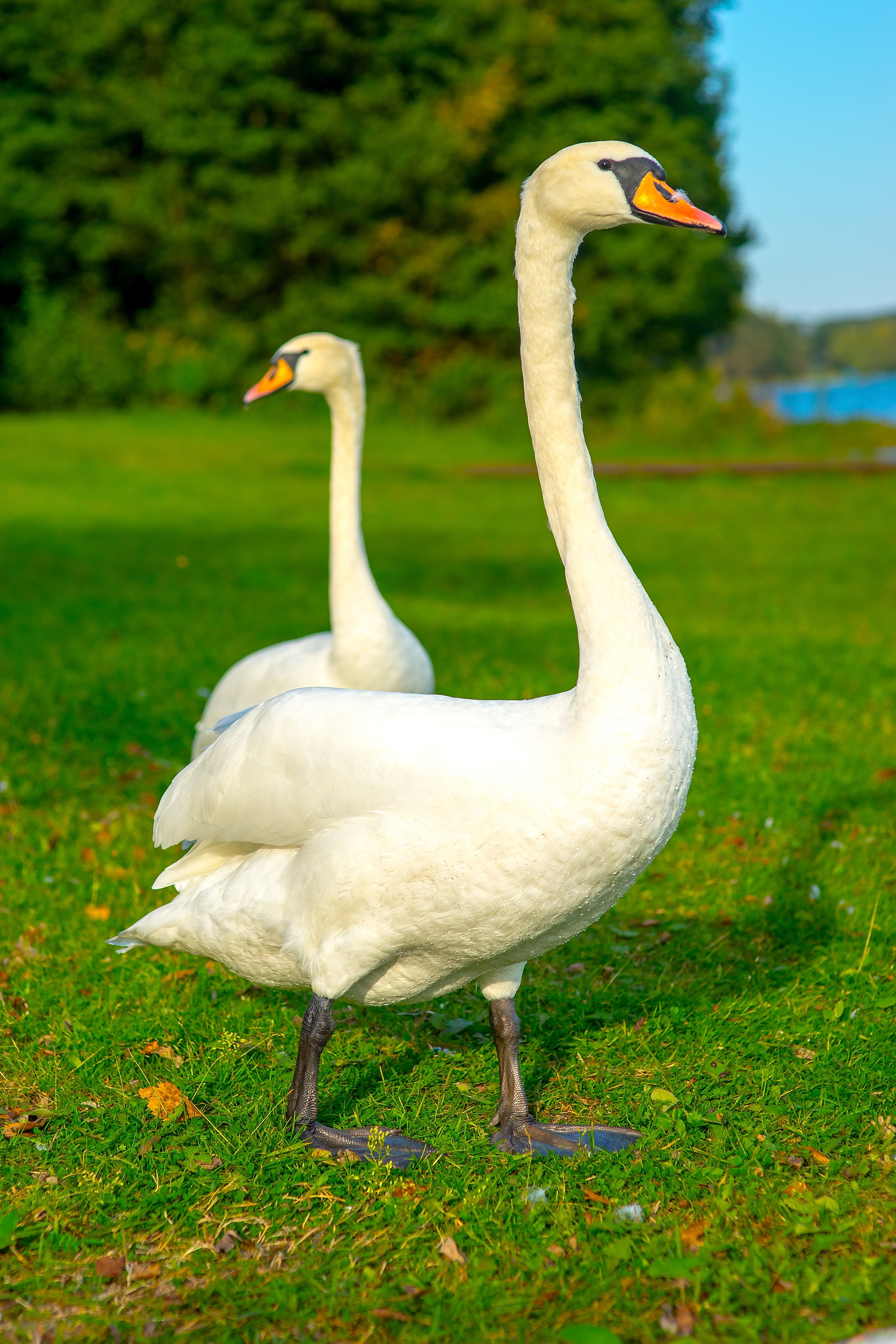 На озере Нарочь. Белоруссия