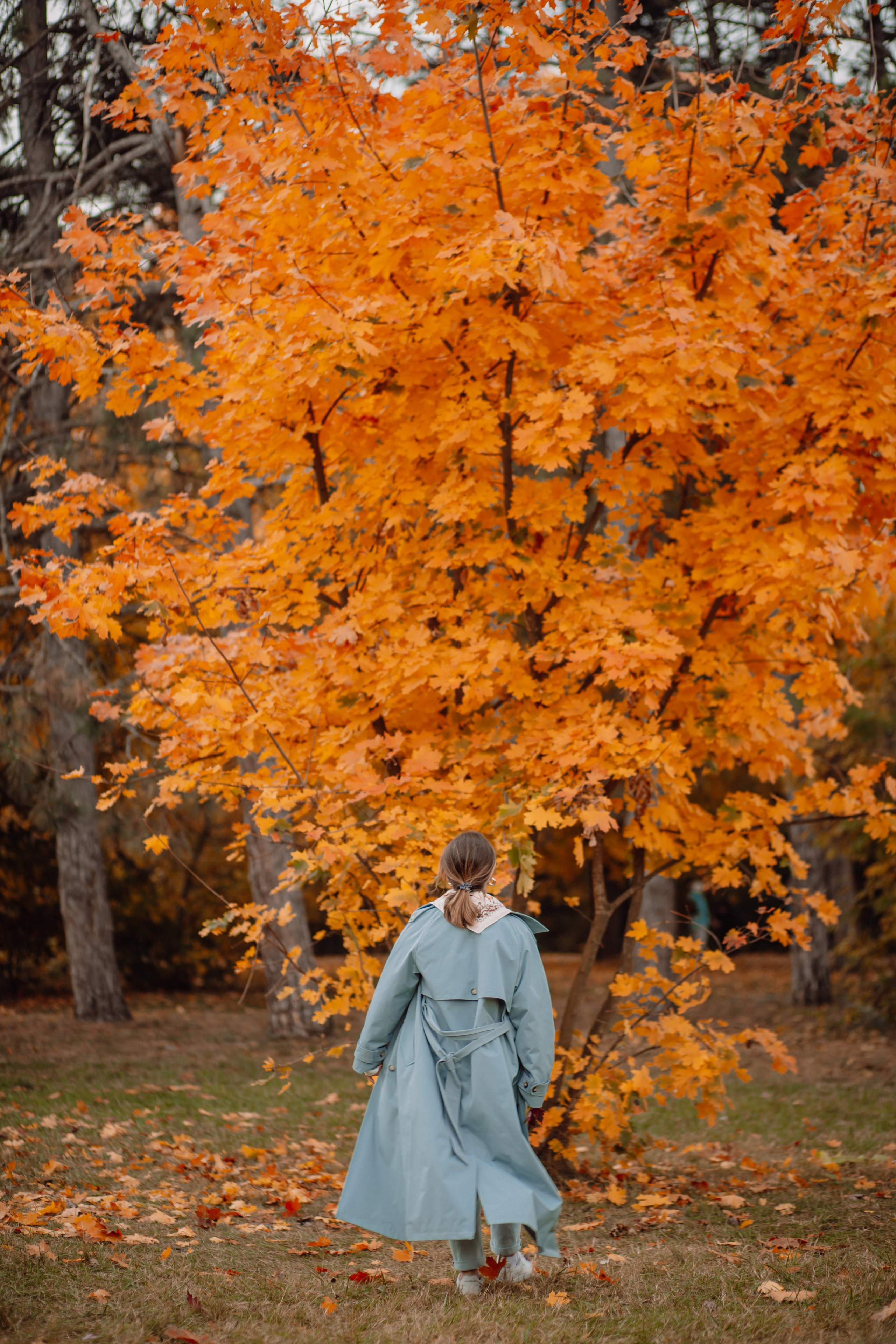 Октябрь. Фотограф Неверова Катерина