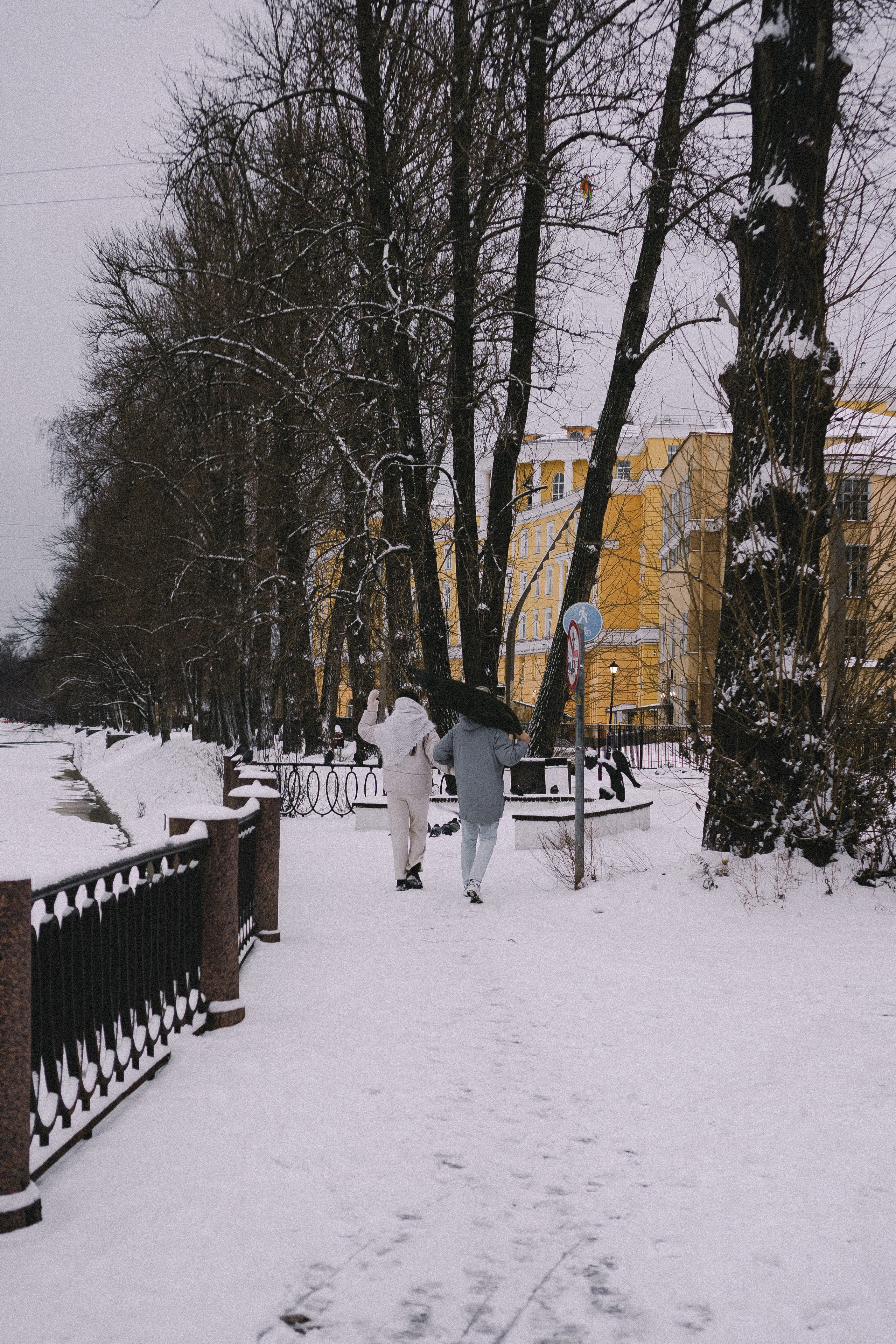 Зимняя история. Профессиональный фотограф, Санкт-Петербург — Виктория Богомолова