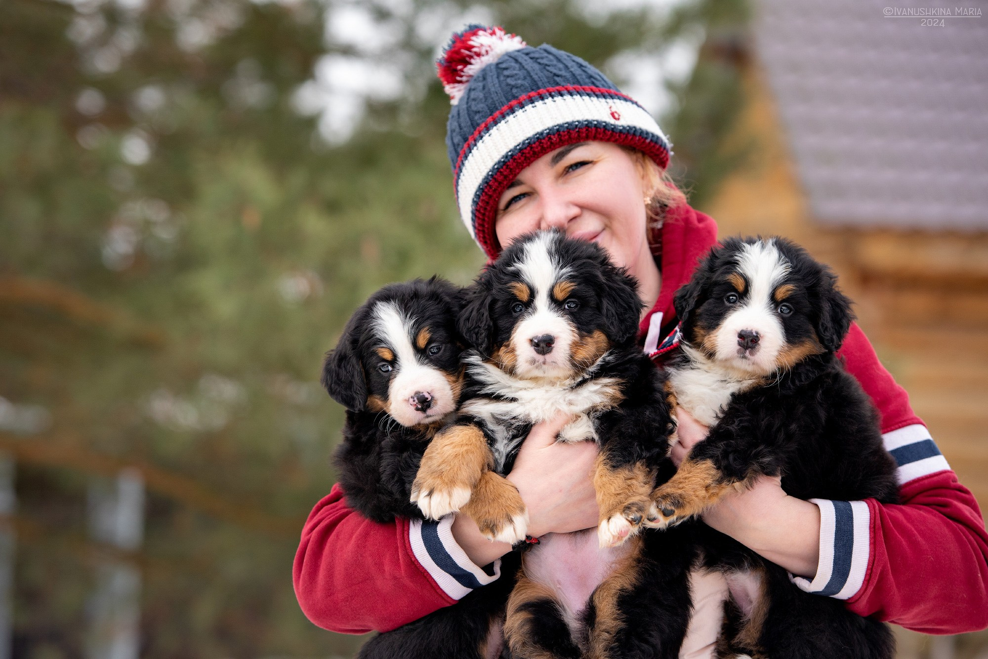 Фотосессия с собакой. Фотограф собак в Москве и Московской области Иванушкина Мария