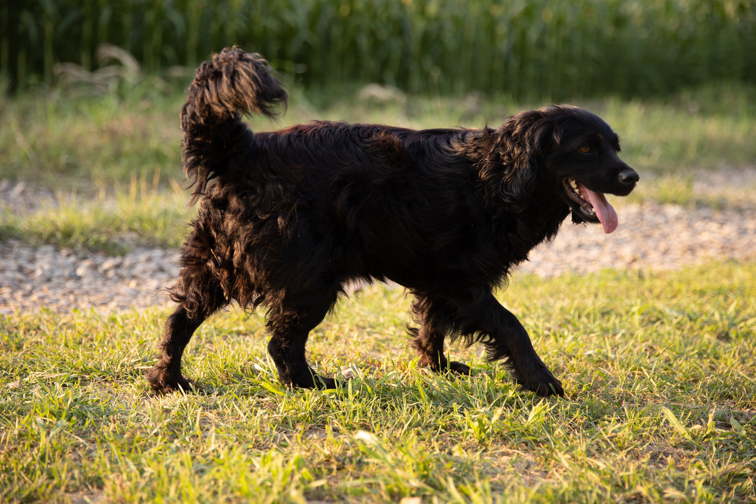 Детский день рождения. Школьный фотограф в Краснодаре Юлия Войлова