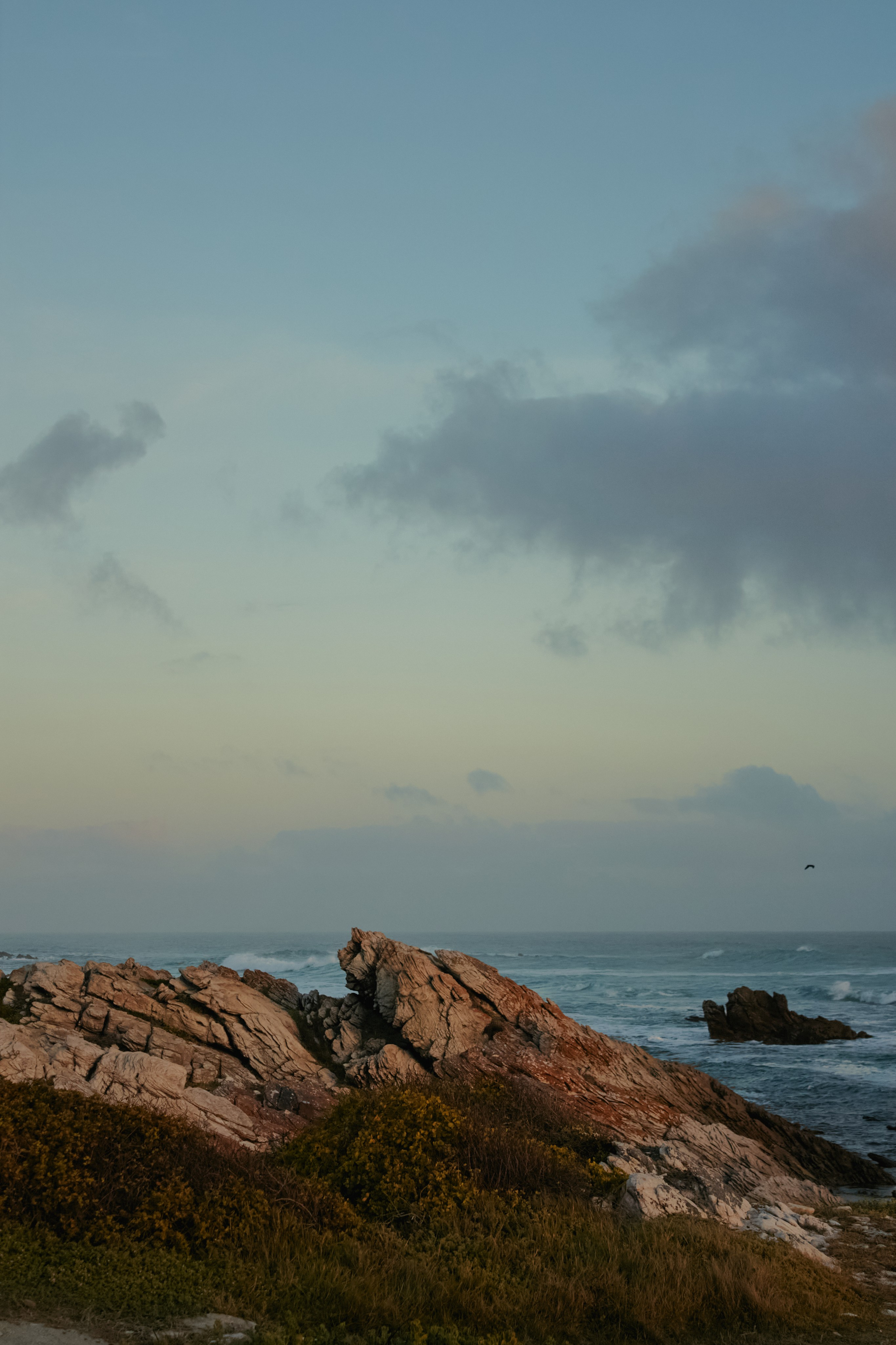 ЮАР. Профессиональный Фотограф во Владимире, в Москве и в Суздале — Полина Романычева