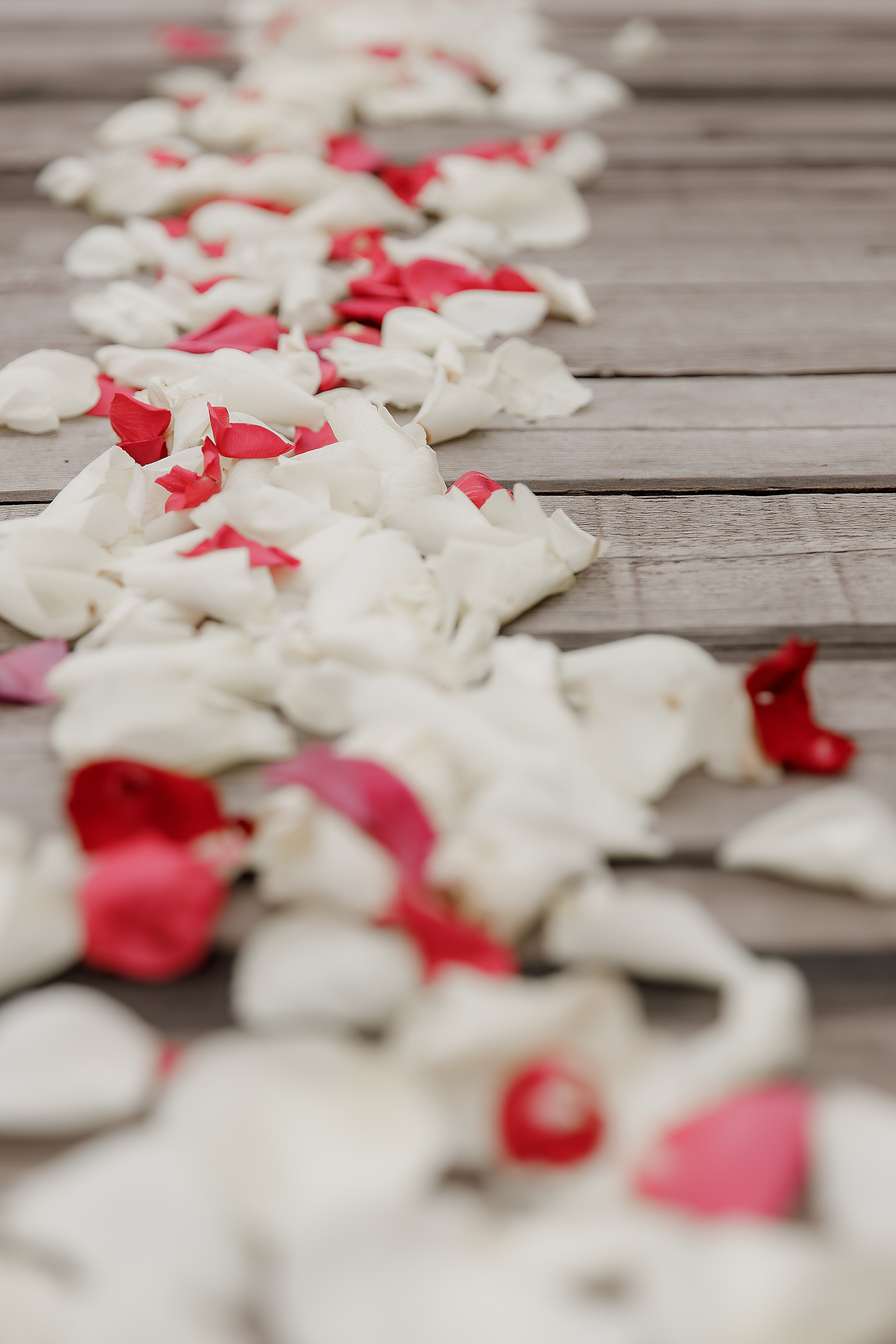 Яна и Алексей. Свадебный и семейный фотограф  во Владивостоке Ольга Украинец